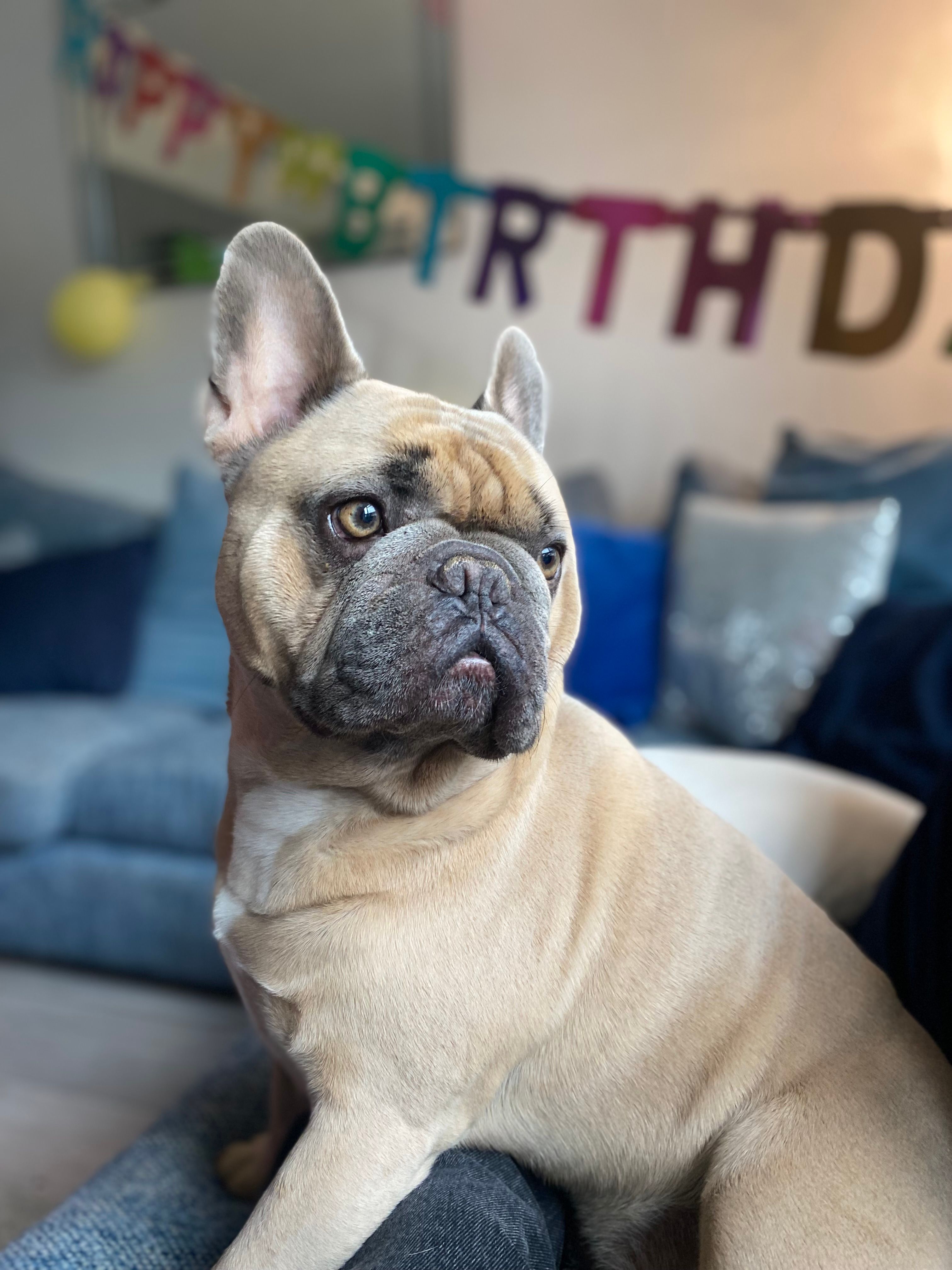 Berty - Newmans Lane, Loughton