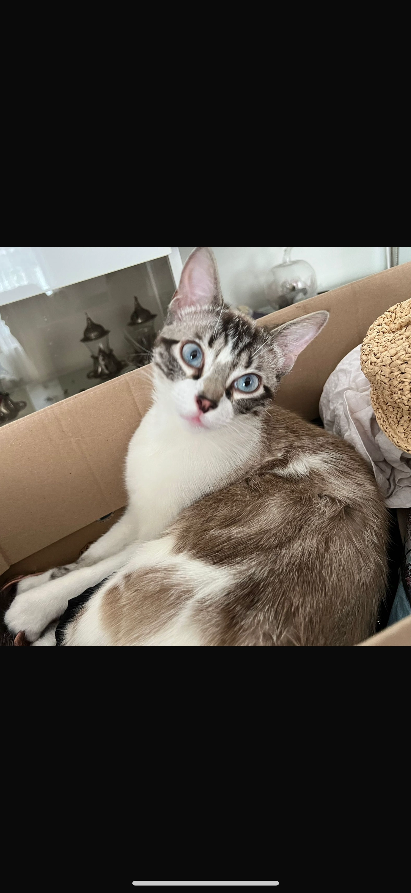 Mocha  - Rue Maréchal Foch, Châtelet