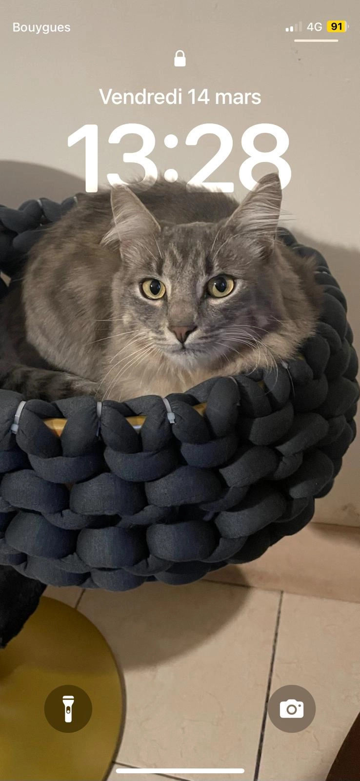 gribouille  - Rua de São Martinho, Sande-São Martinho