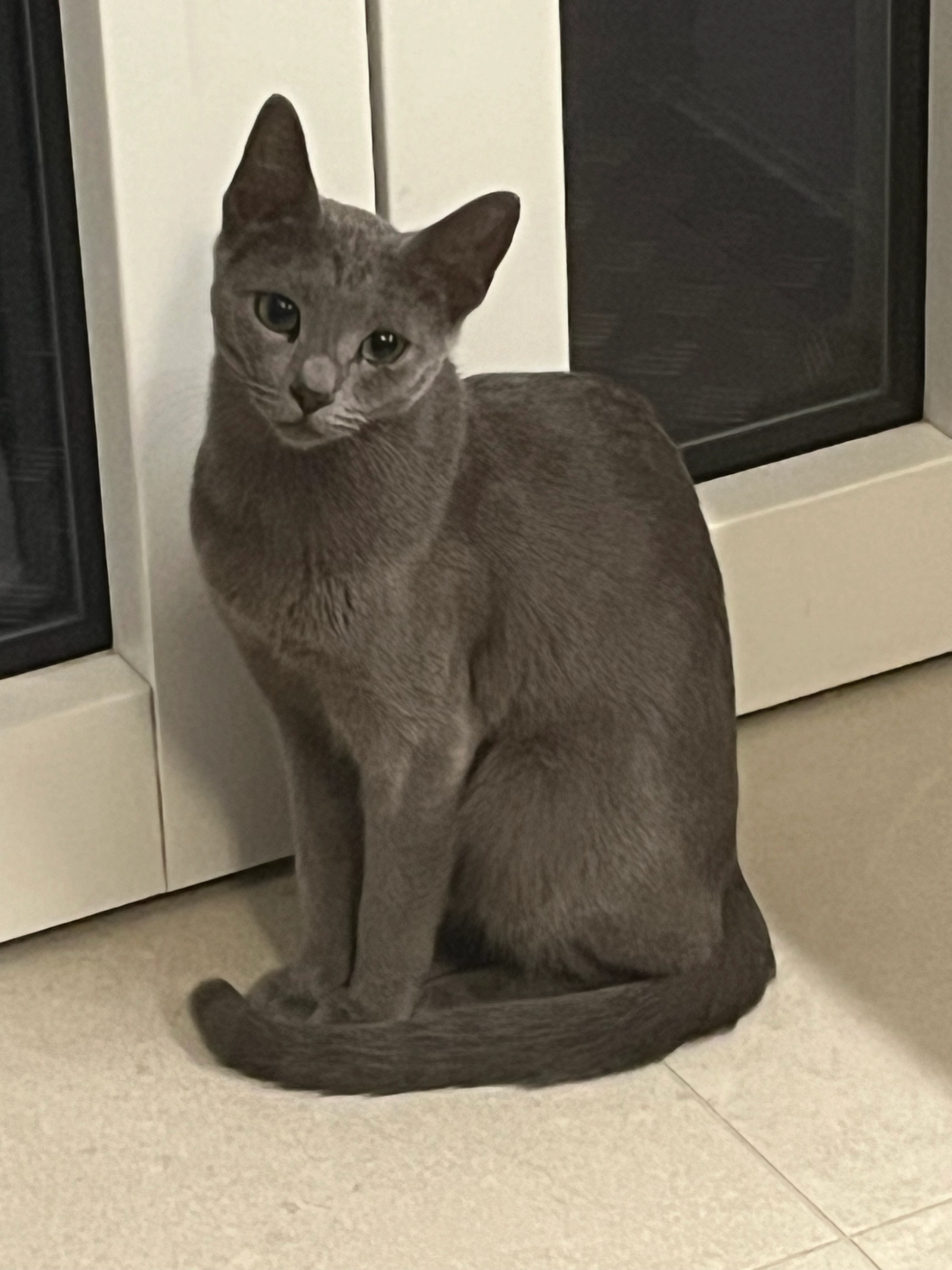 Baghie  - 228 Avenue des Gaises, Mâcon