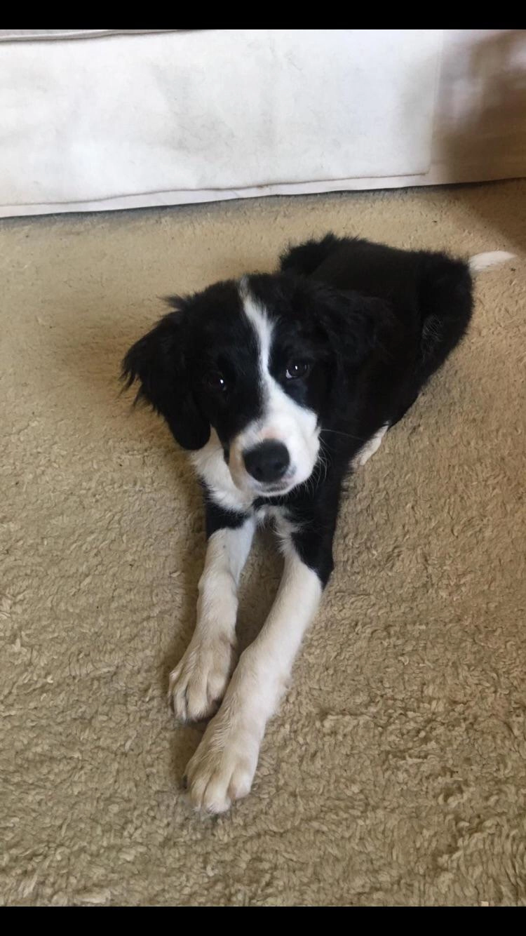 Pilot - Kerklaan, Weesp