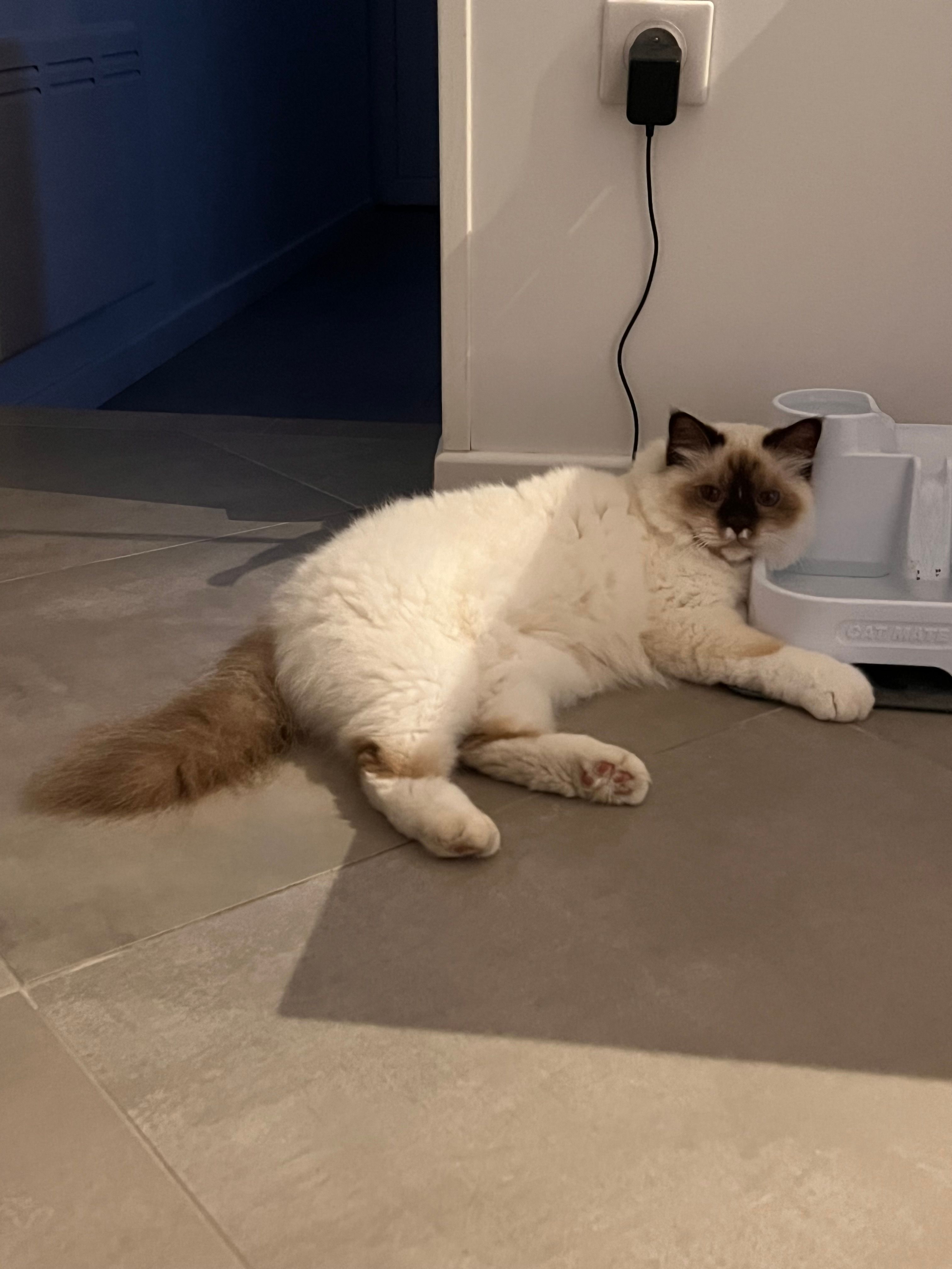 Rio - Chemin Des Érables, Meursanges