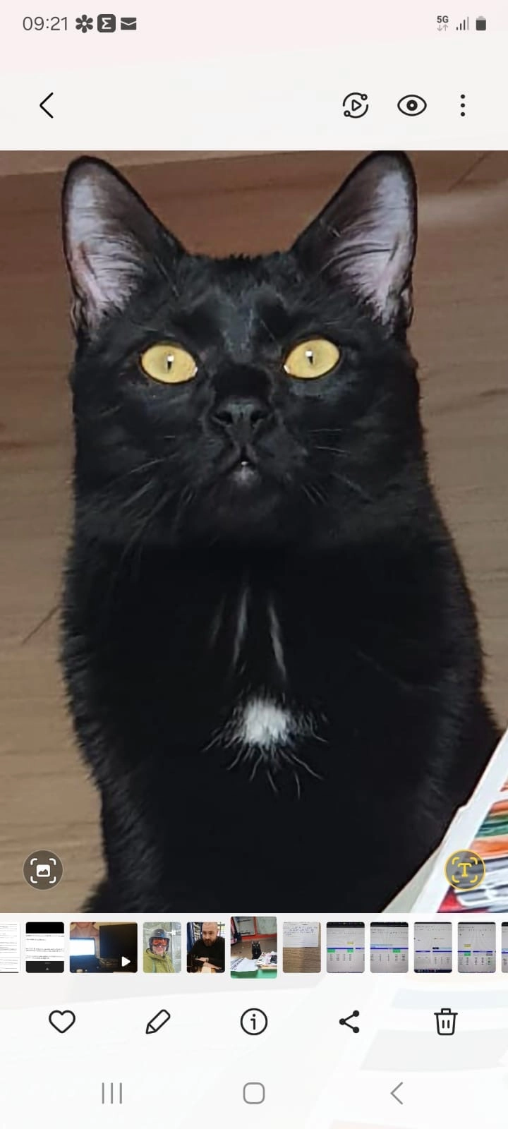 Simon - 63 Rue du Pré Brochet, Sannois