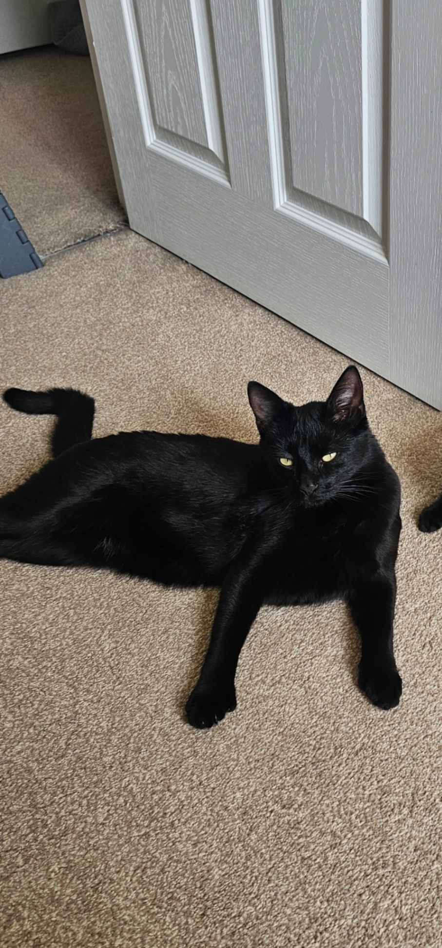 Lewis - Gilbert Close, Liverpool