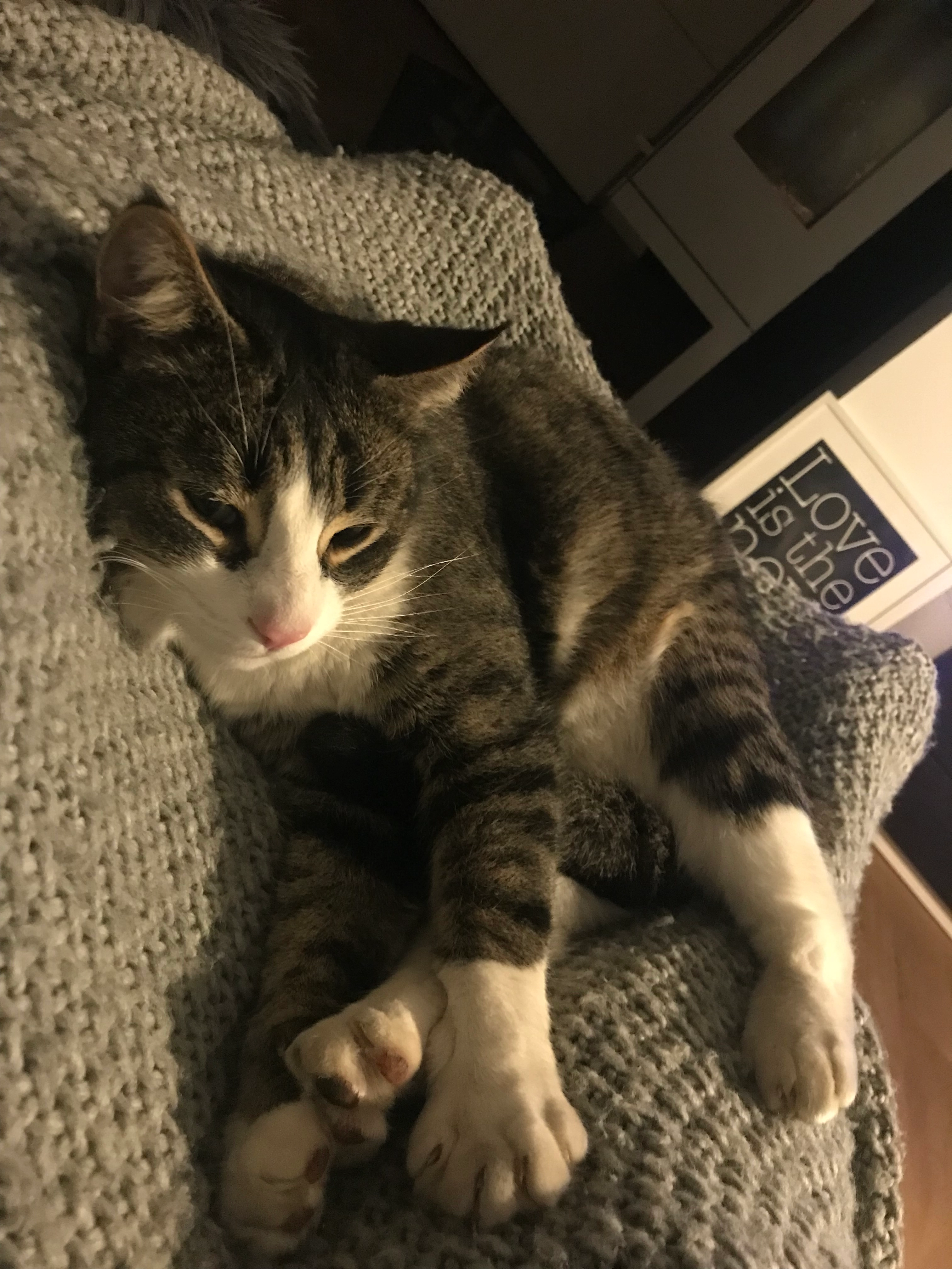 Paul - Brahmsweg, Nagold