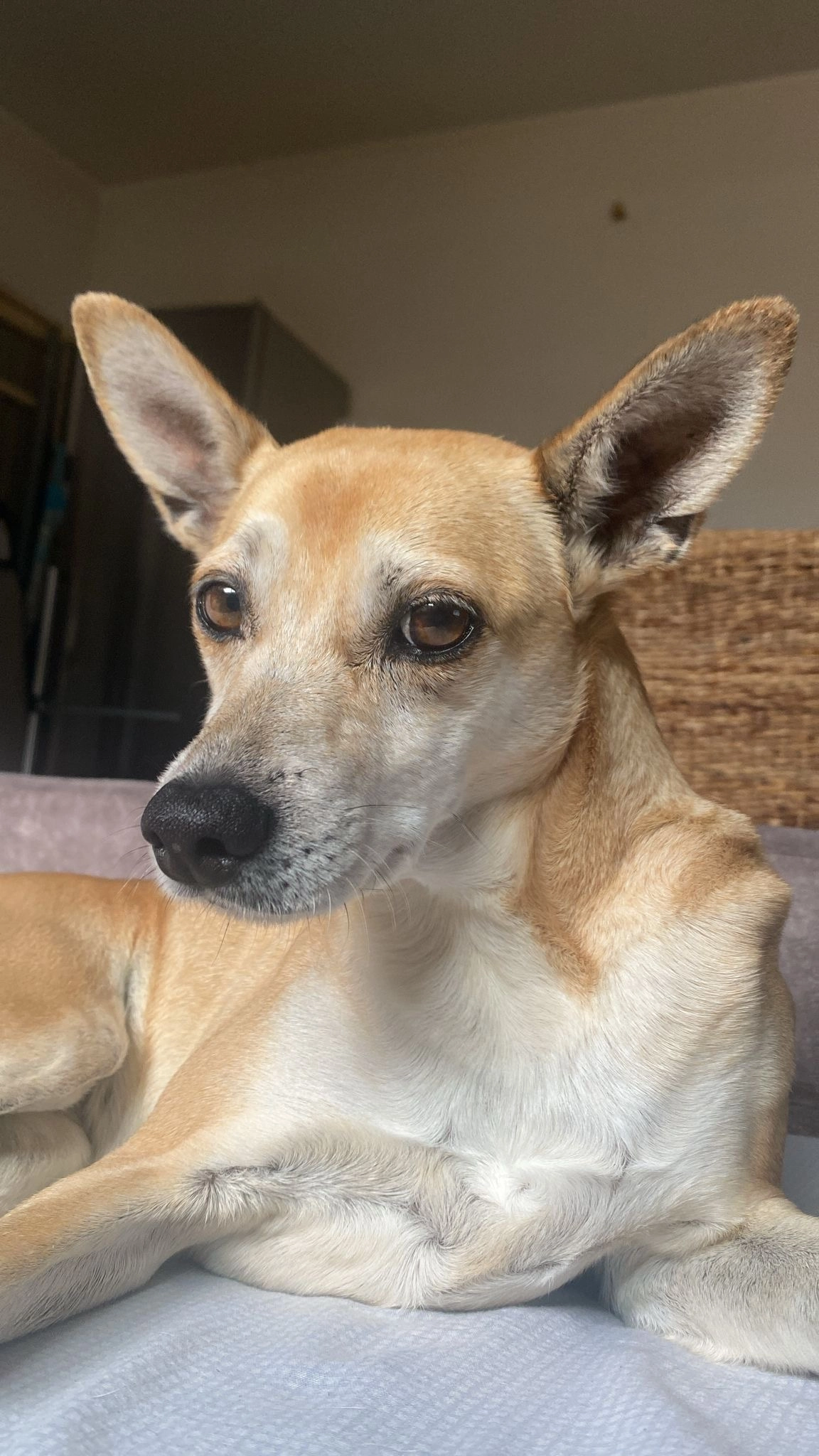 AUDREY  - Calle Río Arlanzón, Cartagena