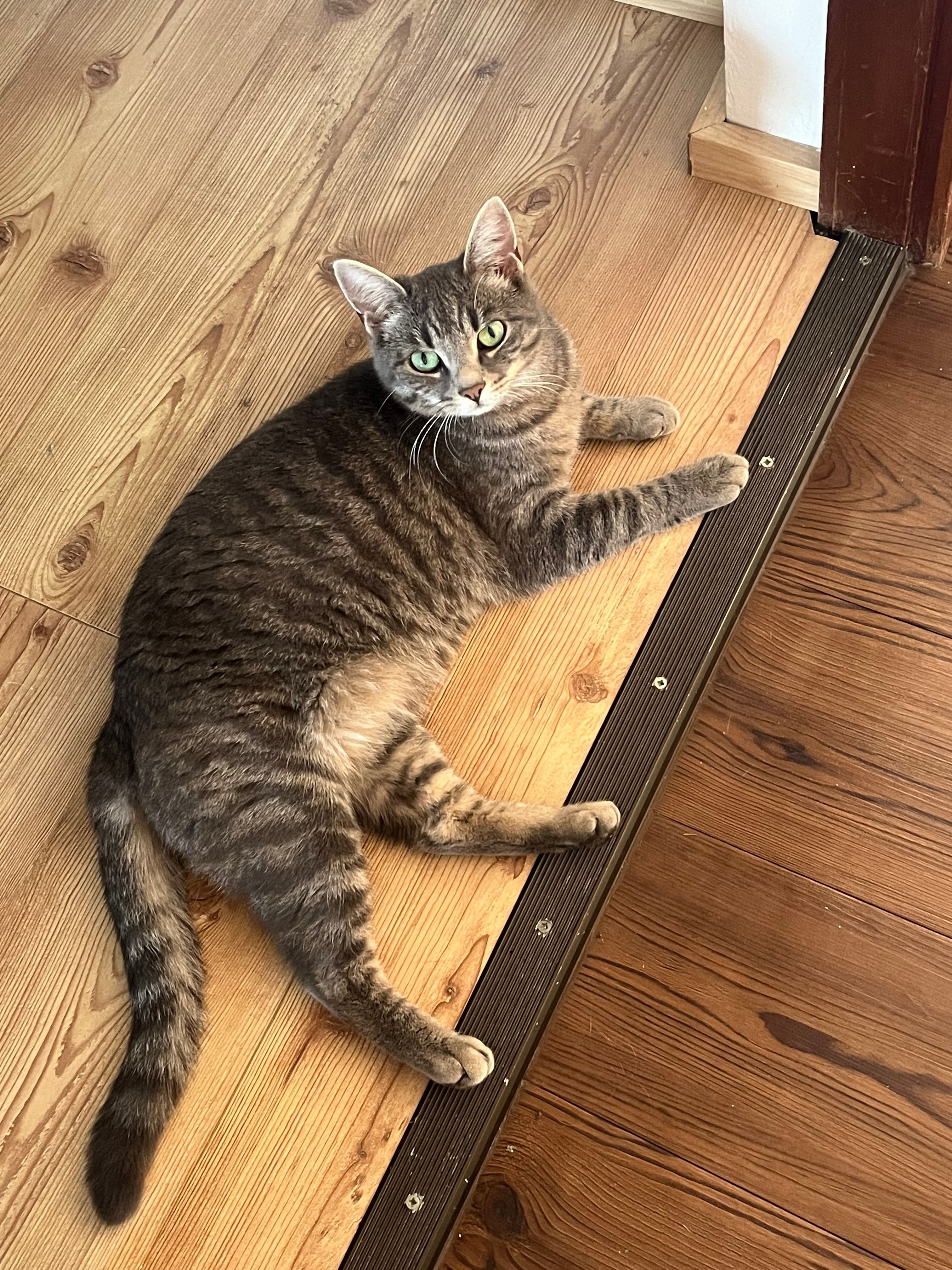 Nala - Eggmannstraße, Tannheim