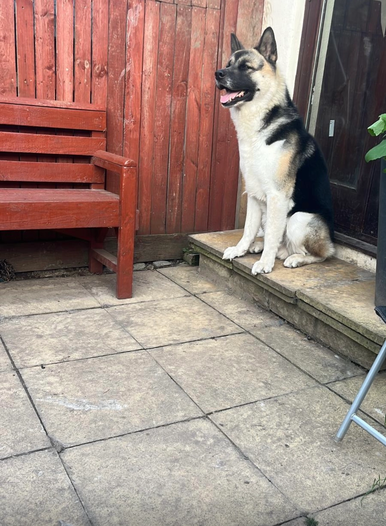 Coco - Princes Avenue, London