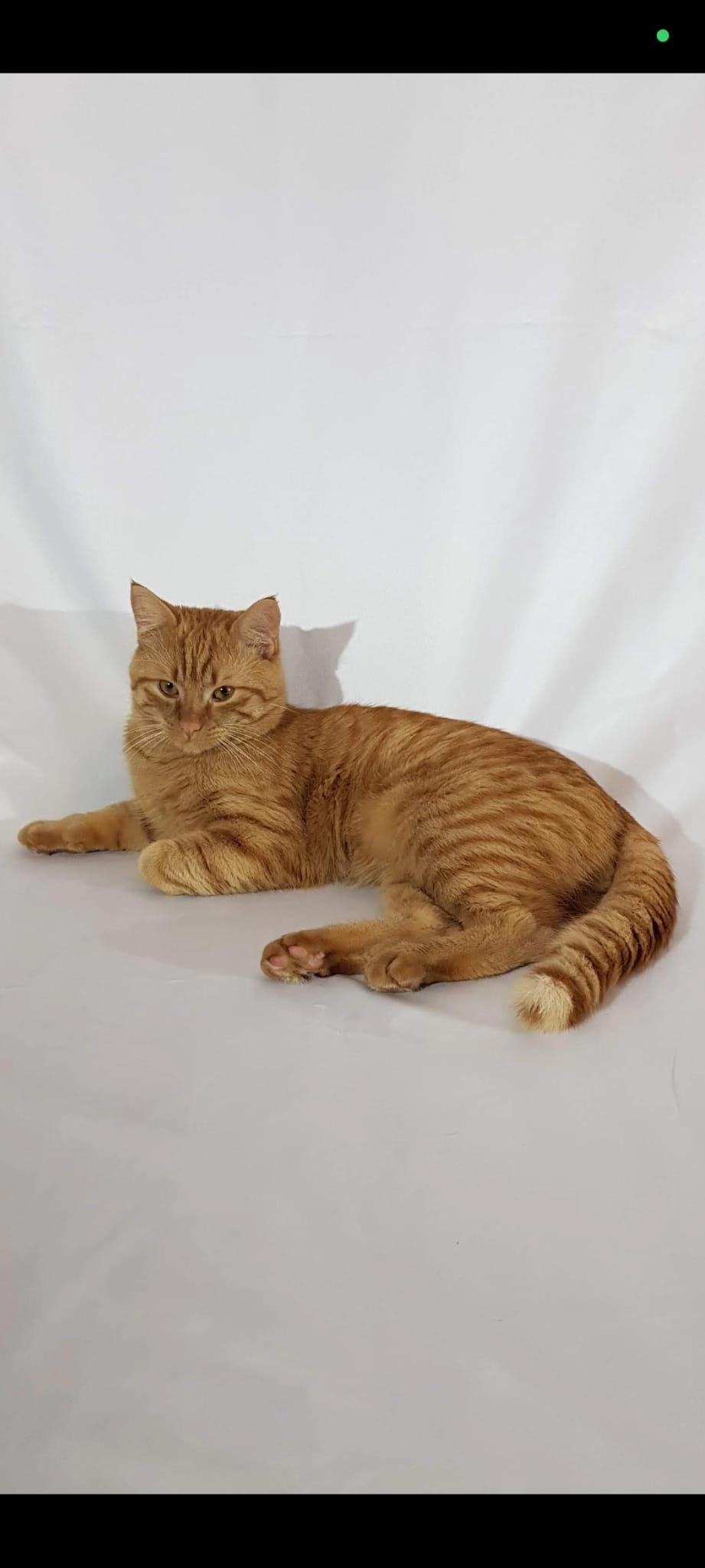 Keks - Grabengasse, Plattling