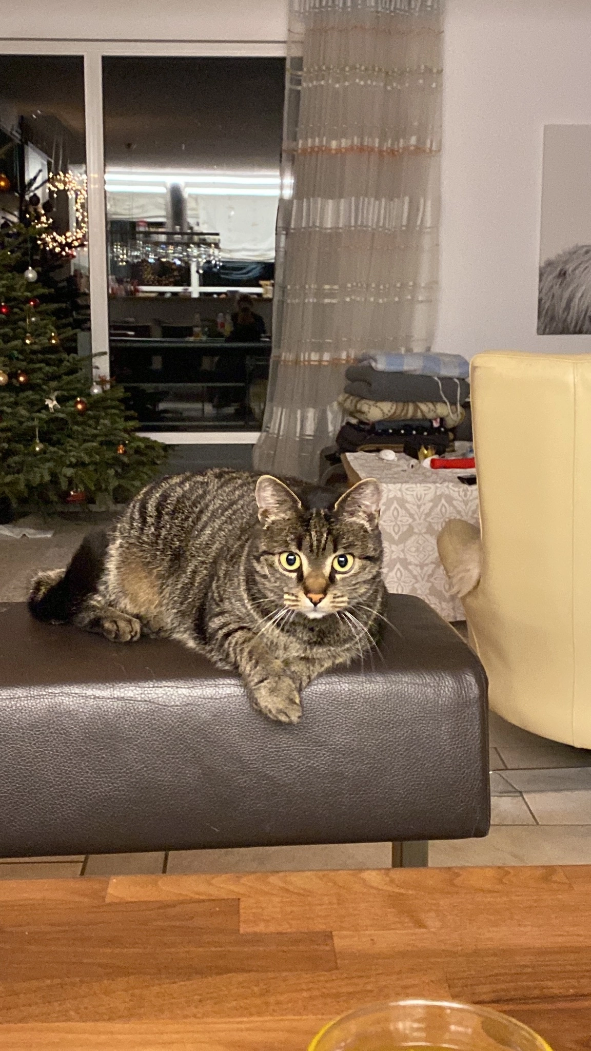 Maze - Hirschstraße, Schwieberdingen