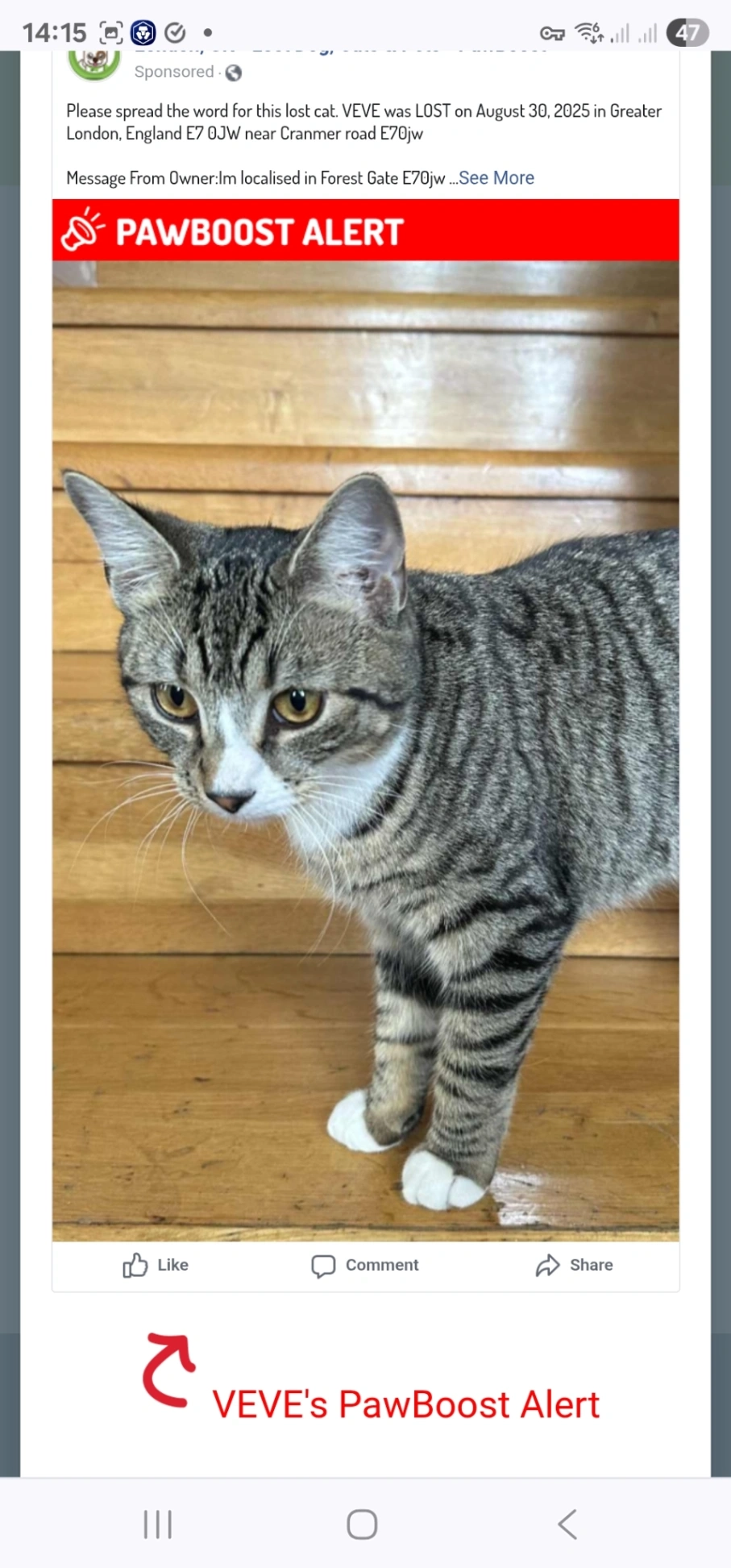 Veve - Cranmer Road, London