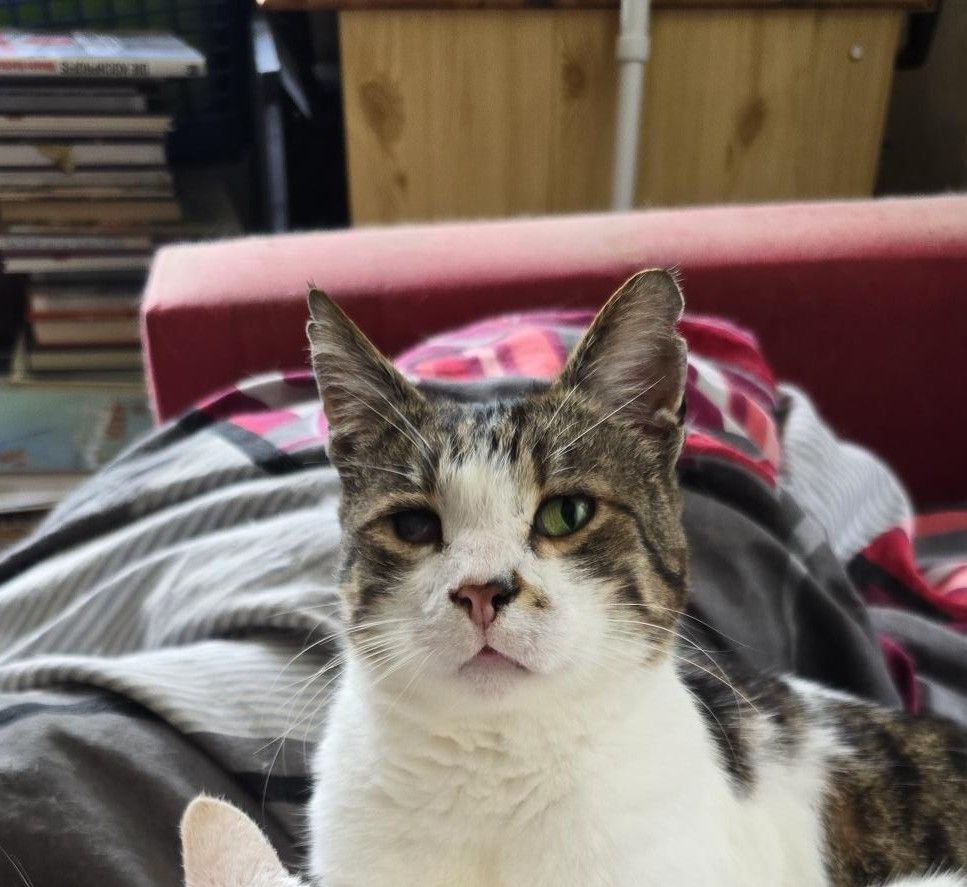 Humpfry - Ortsstraße, Heiligkreuzsteinach