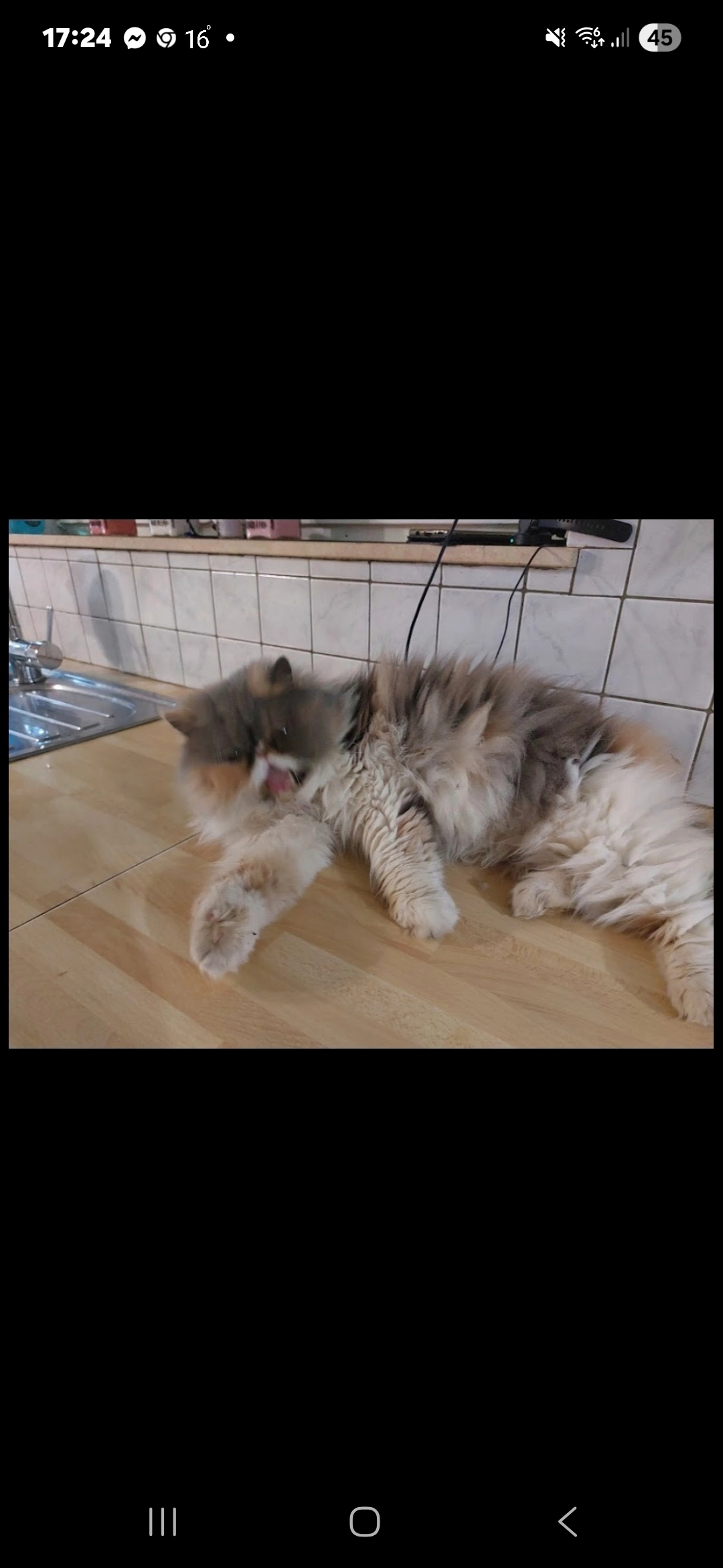 Isis - Rue des Alouettes 70, Sprimont