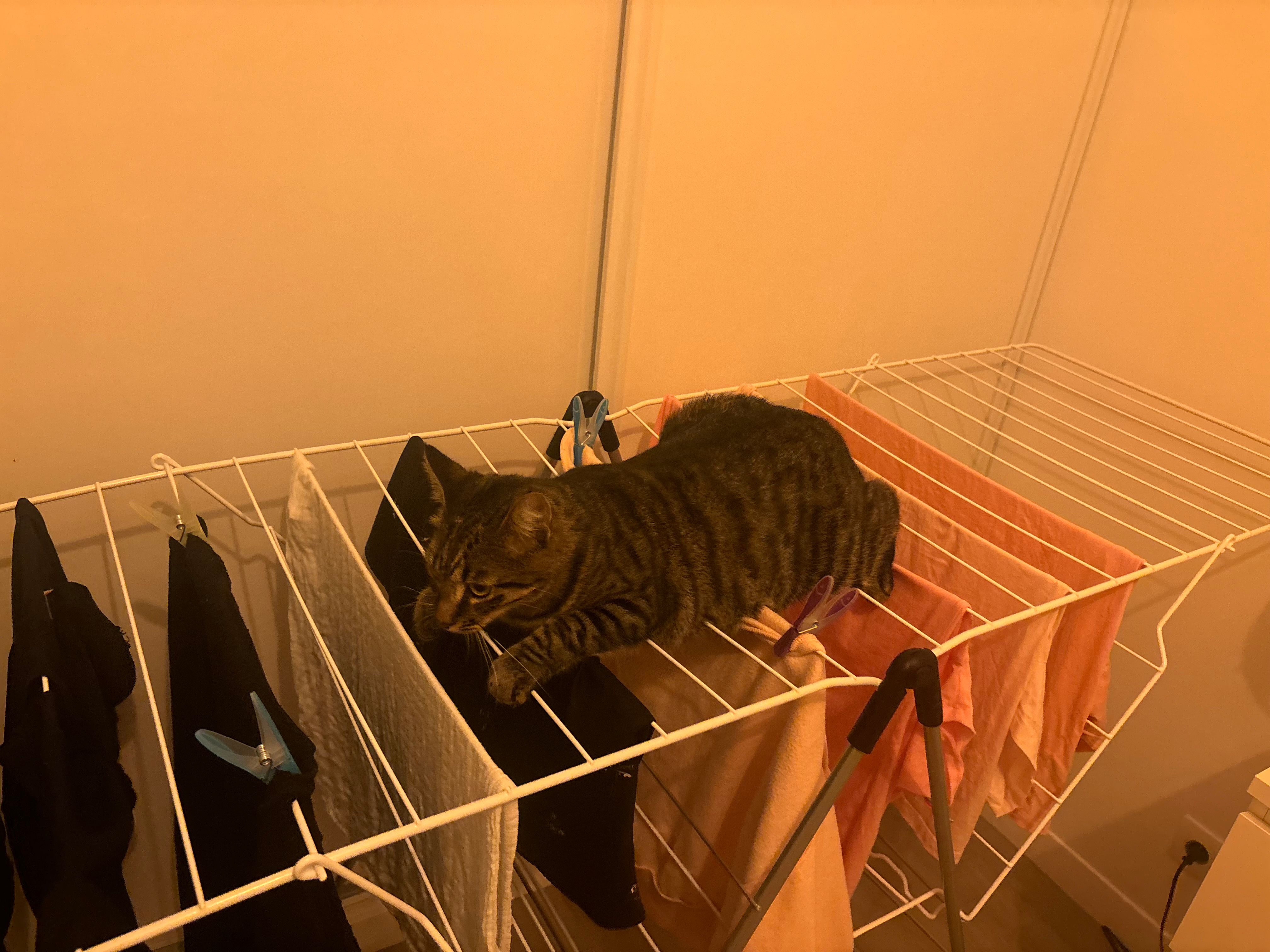 Gucci - 23 Place Louis Darinot, Cherbourg-en-Cotentin