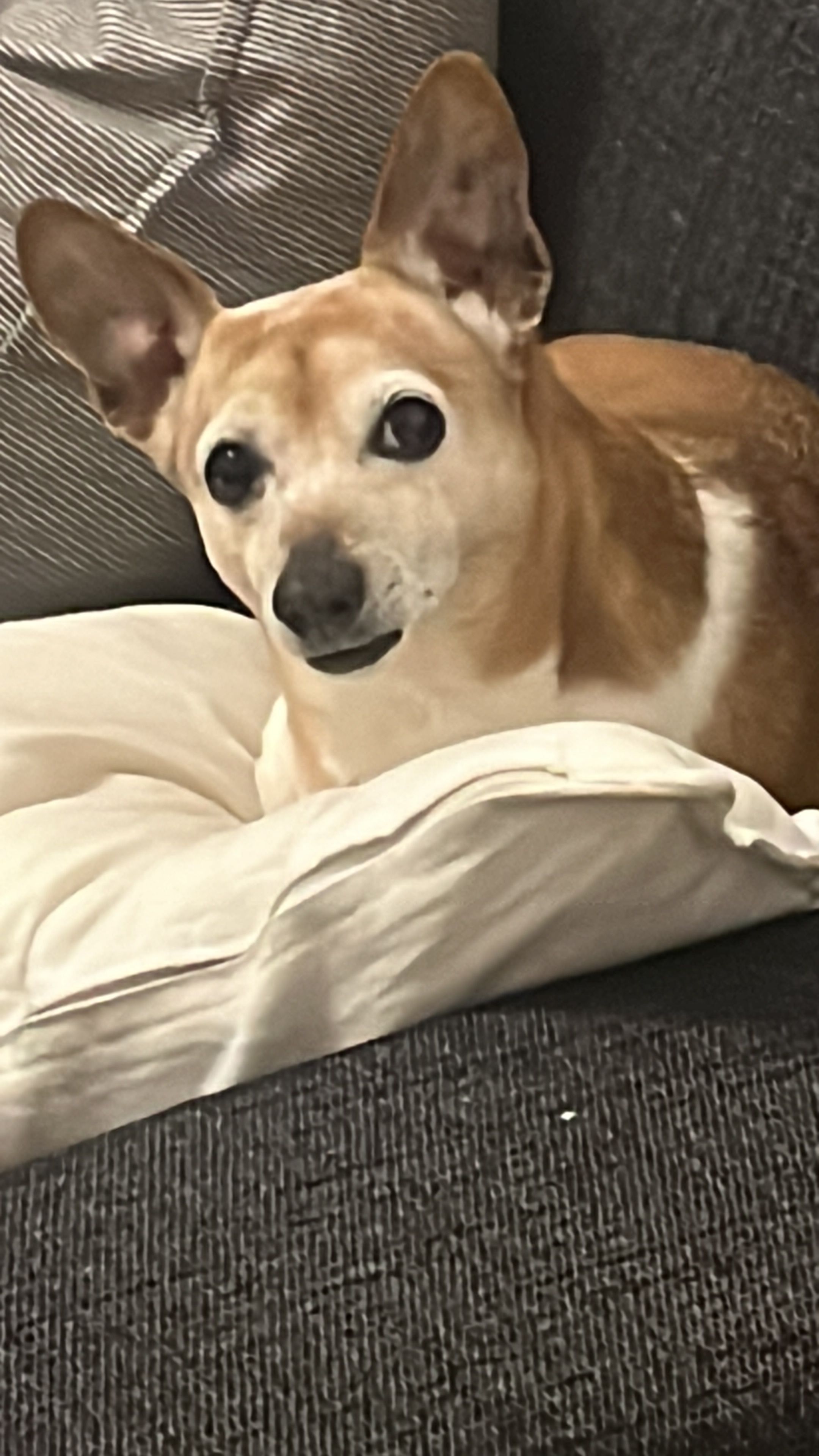 Mini - Grenzweg, Rhauderfehn