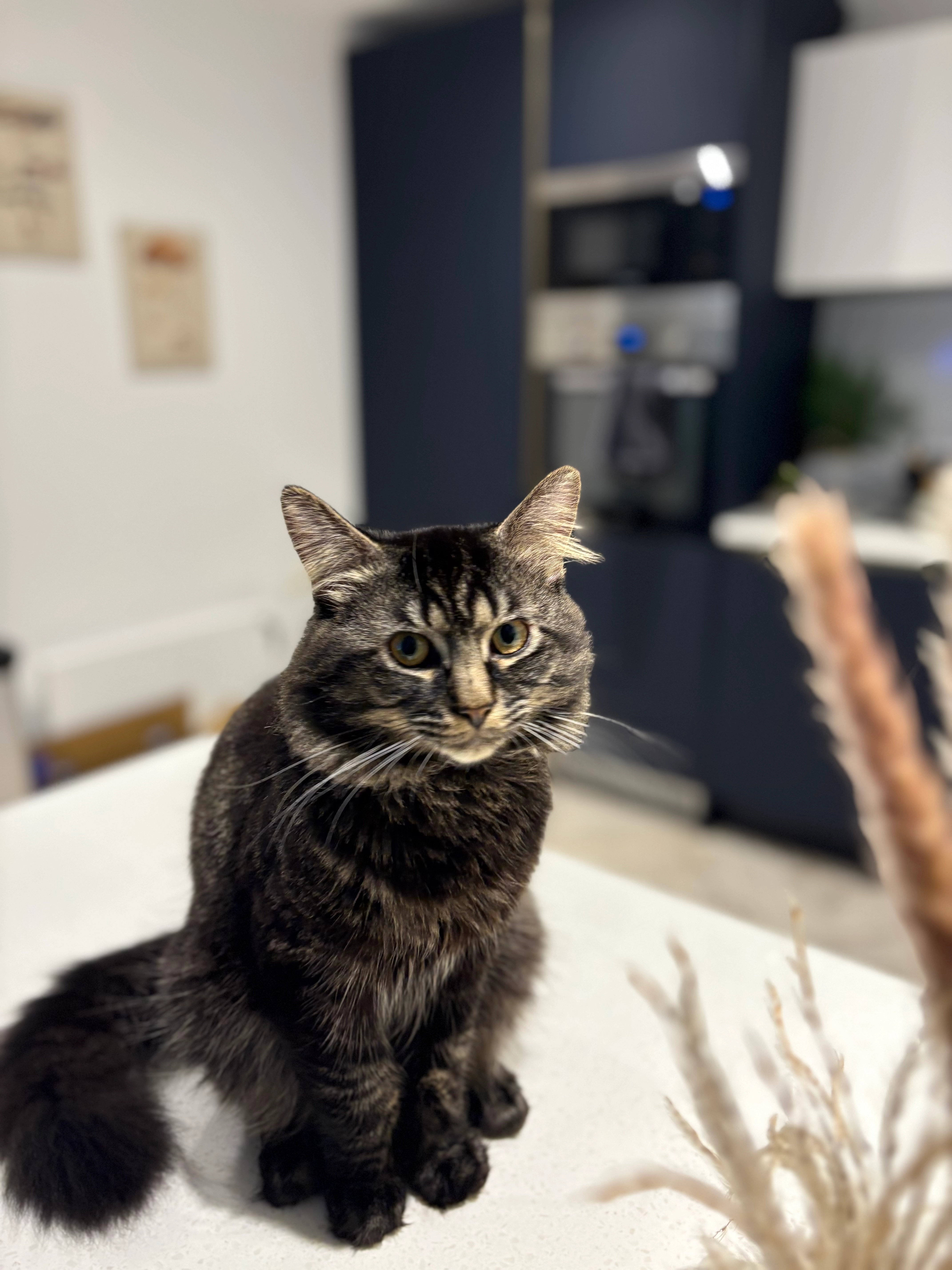 Bandit - Bailey Street, Nottingham