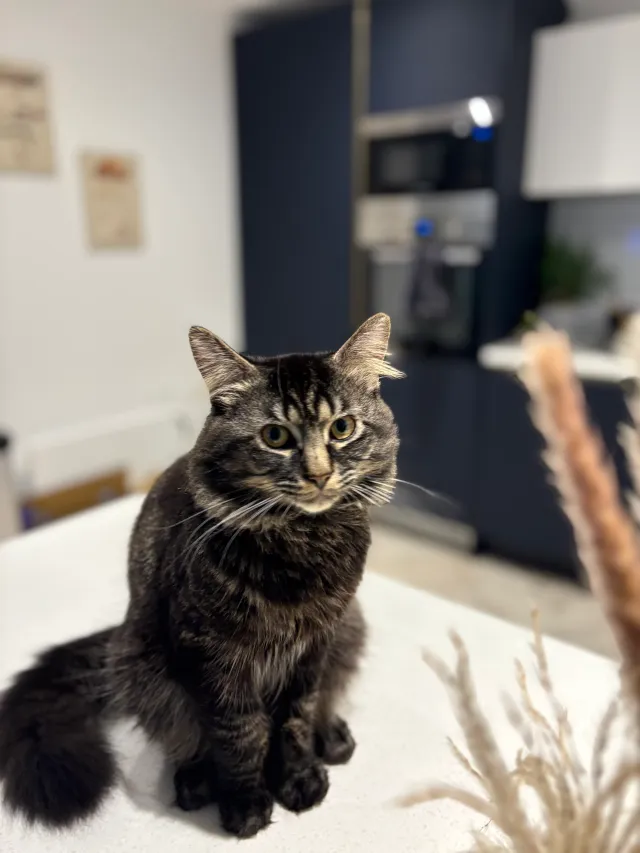 Bandit - Bailey Street, Nottingham