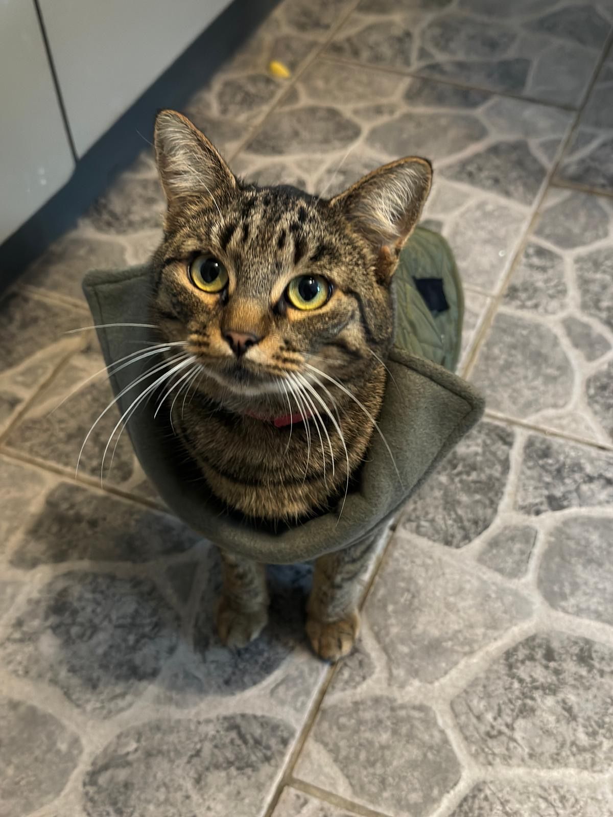 Mira - Obernberger Straße 23, Aurolzmünster