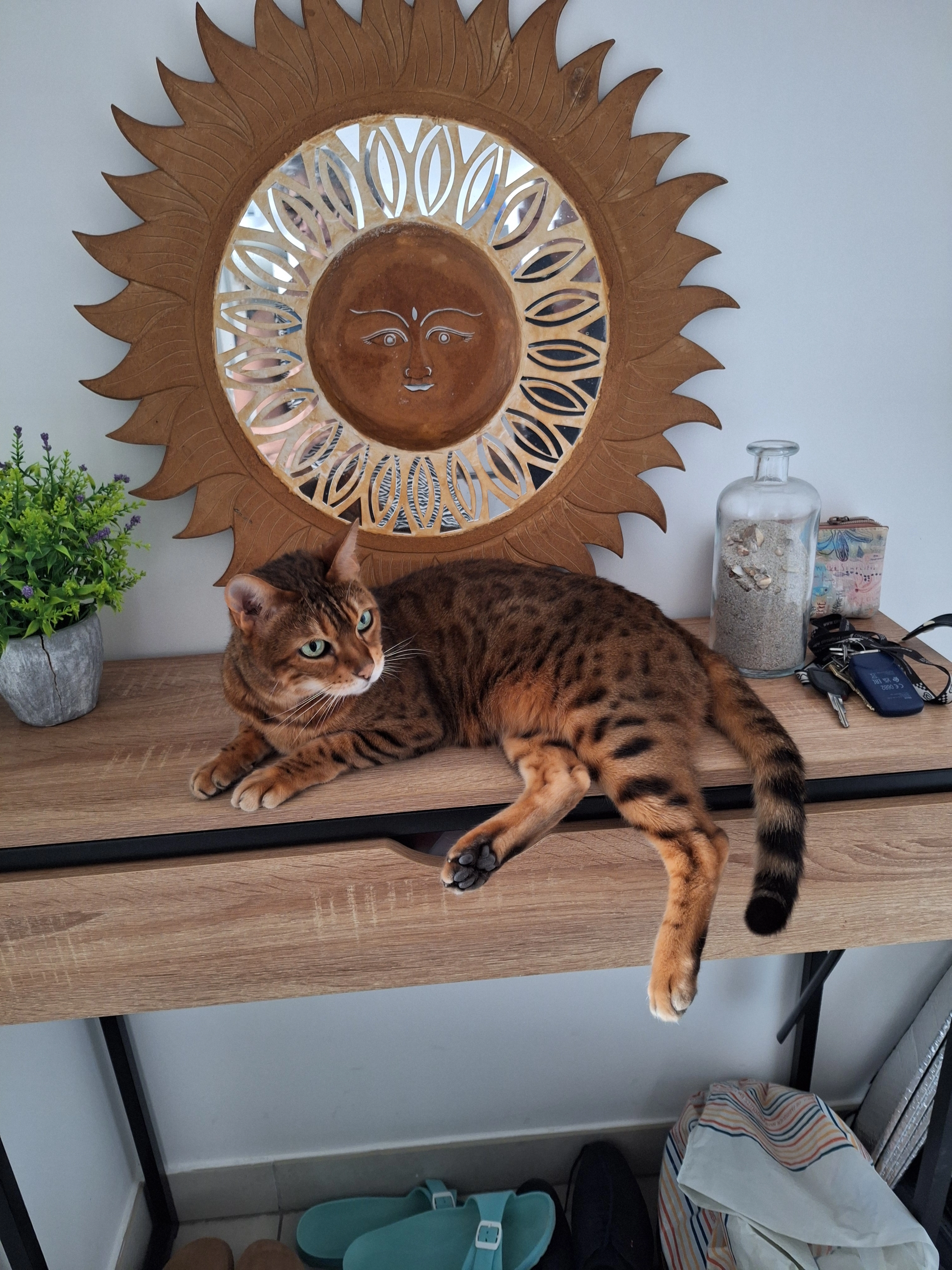 Oana - Rue Onuphré Tarris, Céret