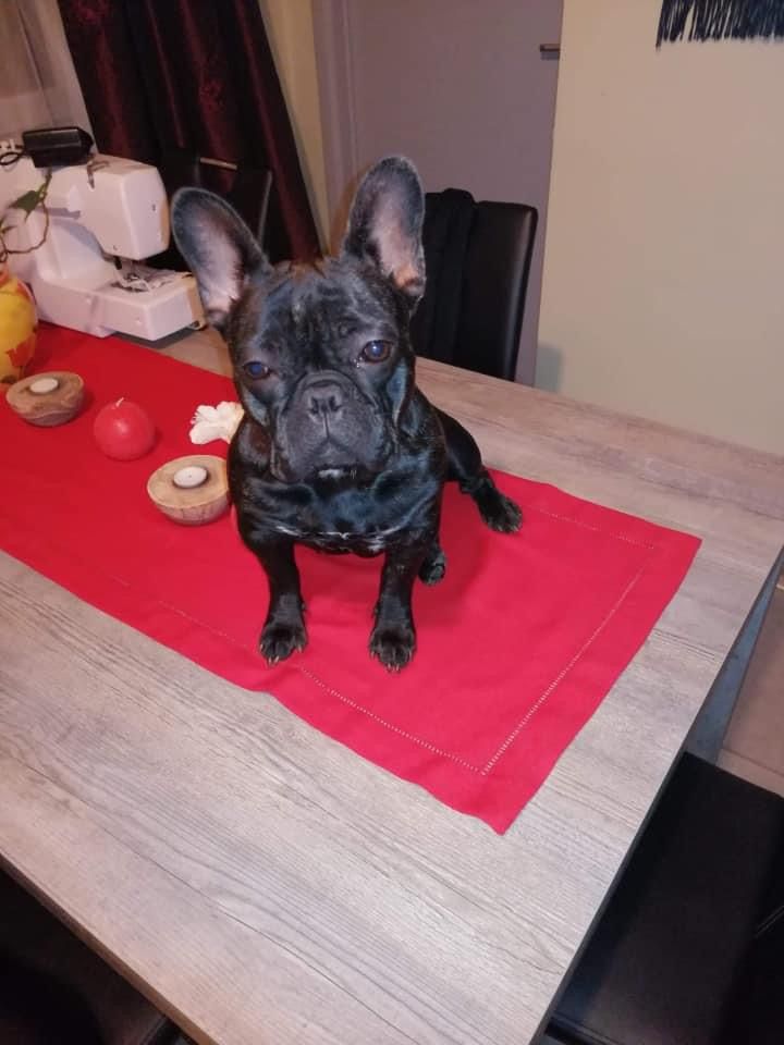 Lexie  - Rue du Bourgmestre Henri Francotte, Dalhem