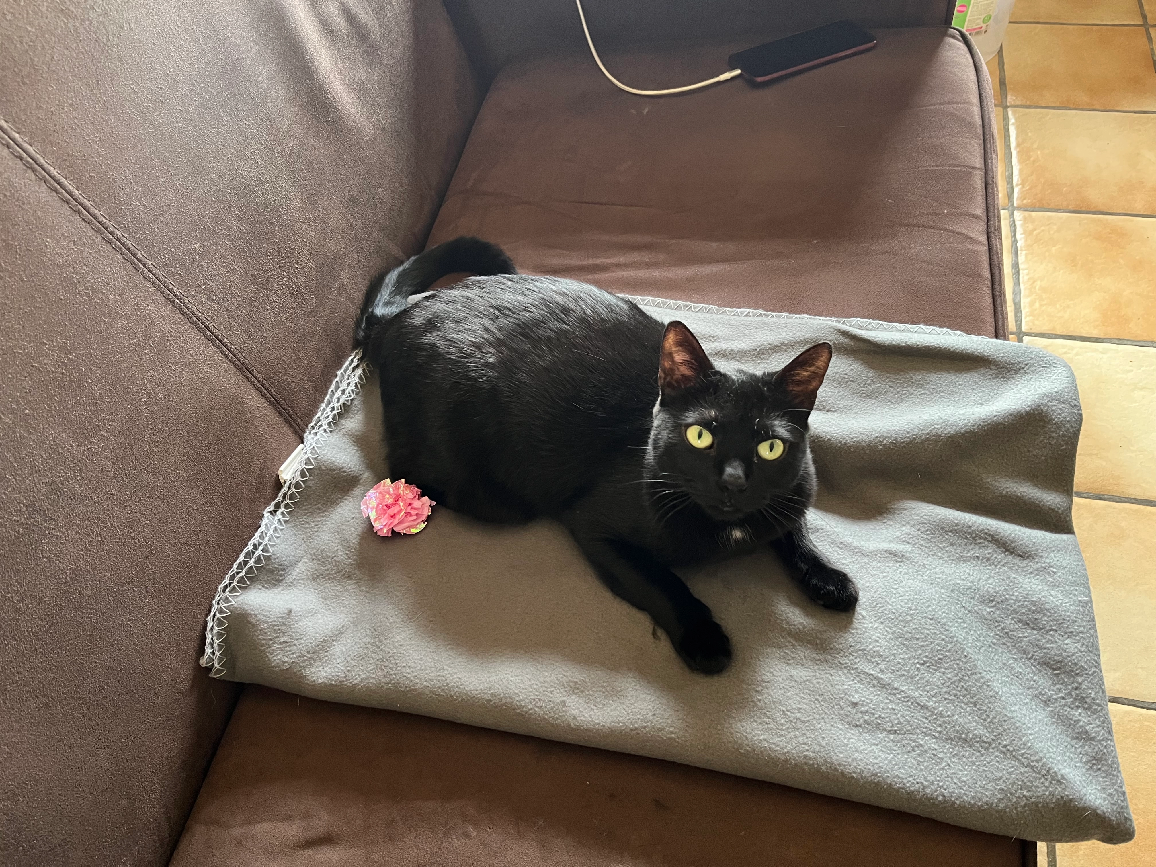 Krokmou - 92 Chemin de la Ranche, Sainte-Julie