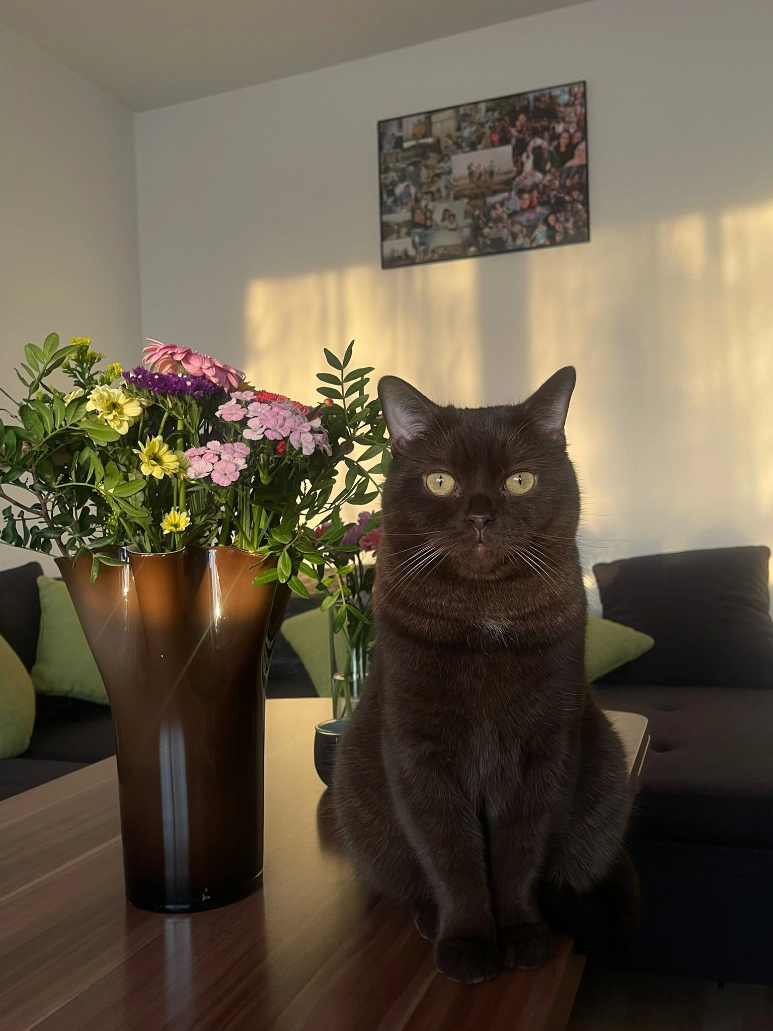 Balu - Brandenburger Straße, Ronnenberg