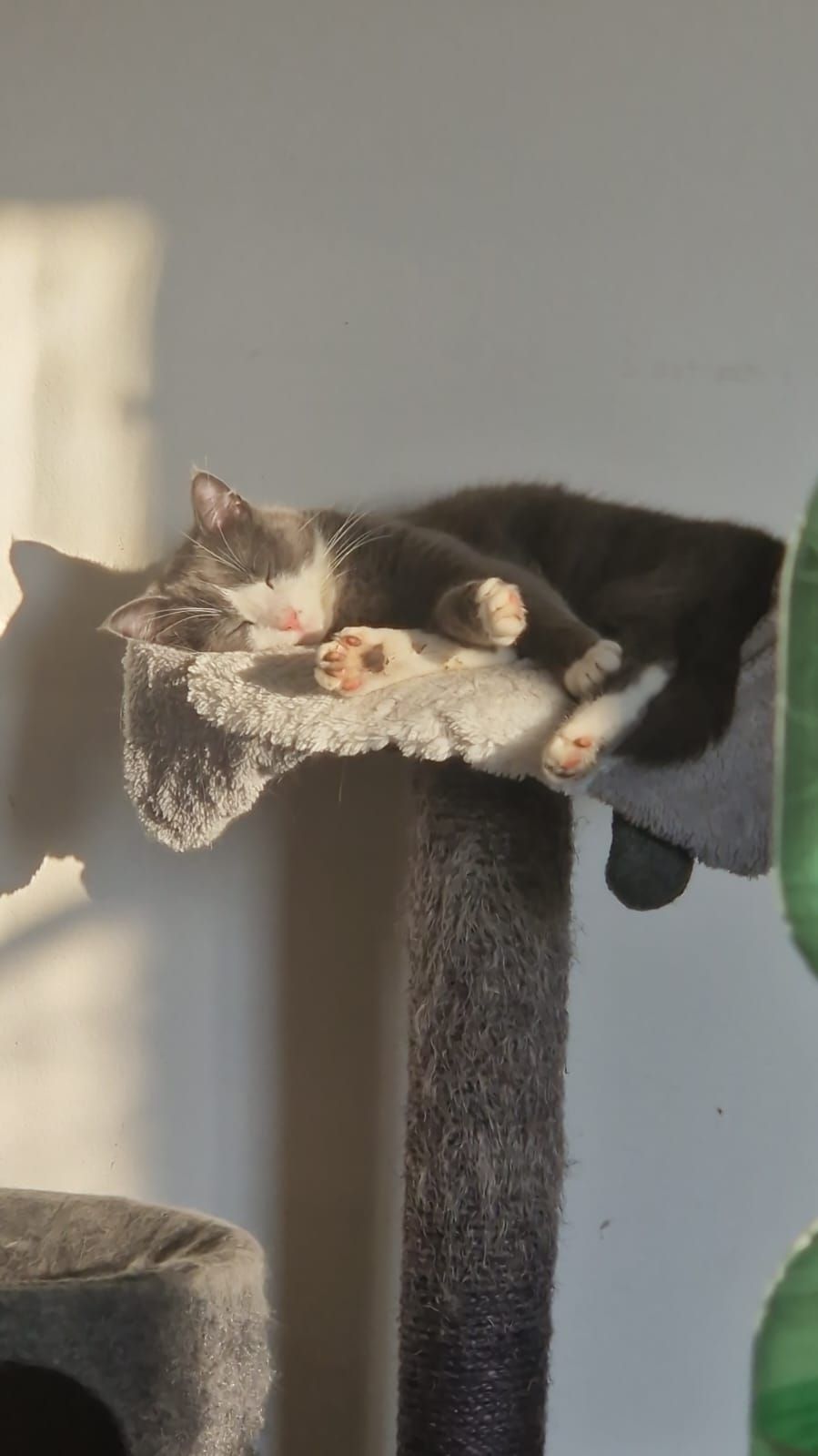 Tüschesse - Teckstraße, Königsbronn