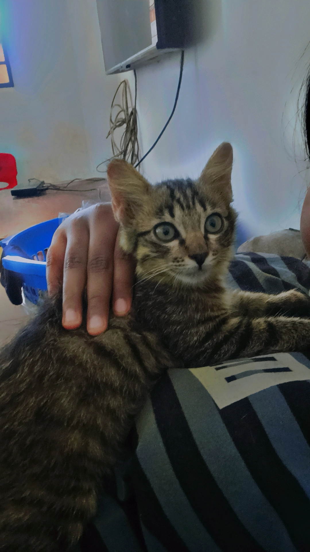 Kopi - 47150, Puchong