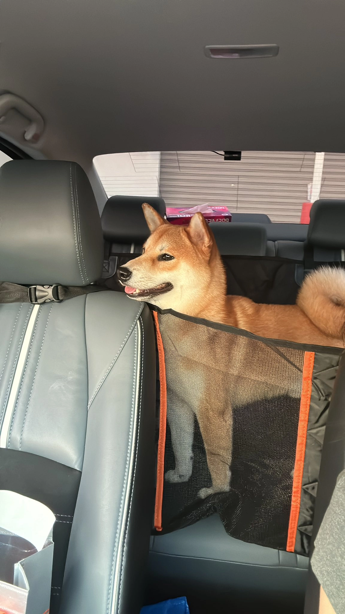 Money - Jalan Pulai Mutiara 10/9, Pulai