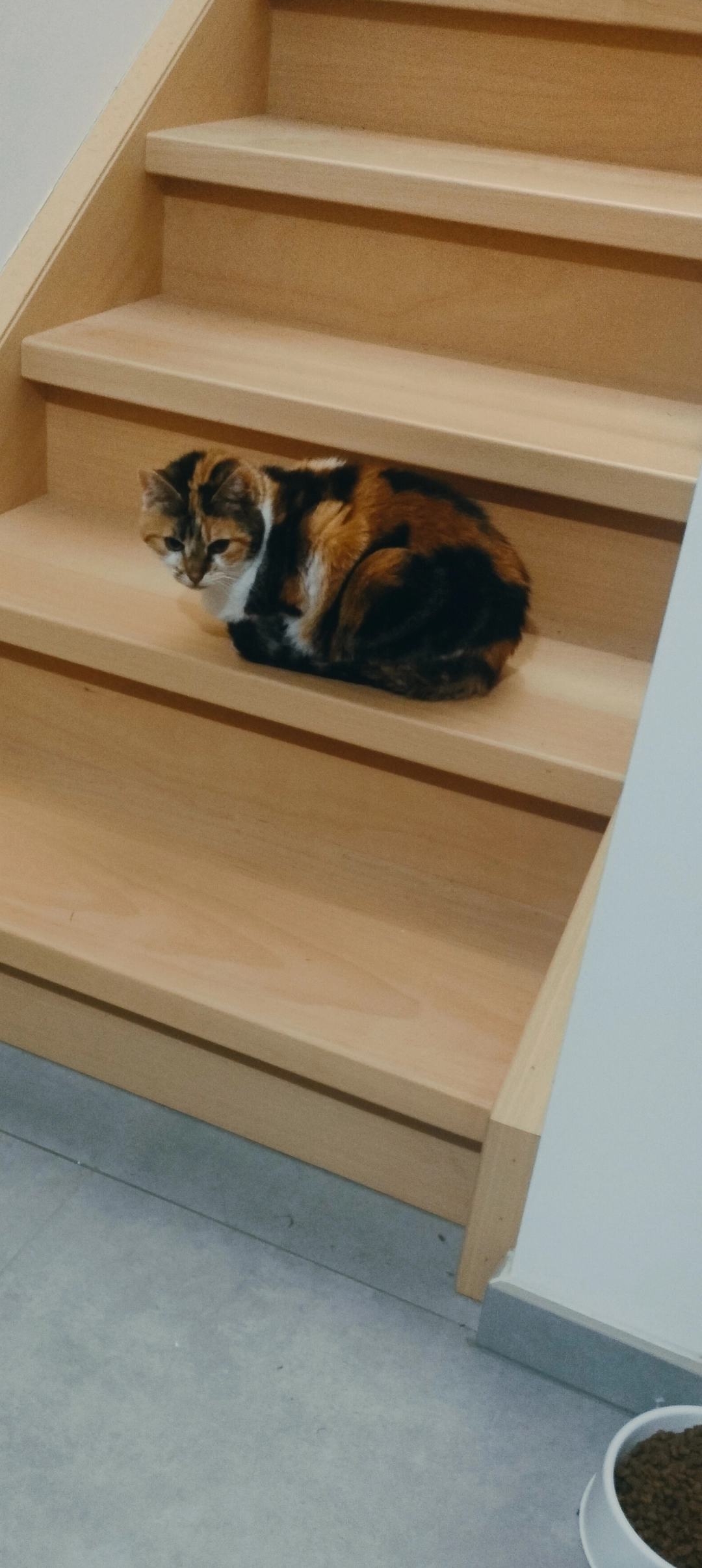 Lili - Avenue Joseph Lemaire, Waremme