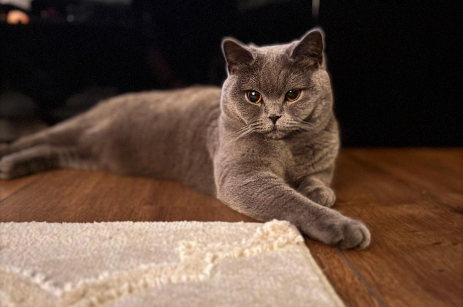 Nala - Hopfengartenstraße 10, Allersberg