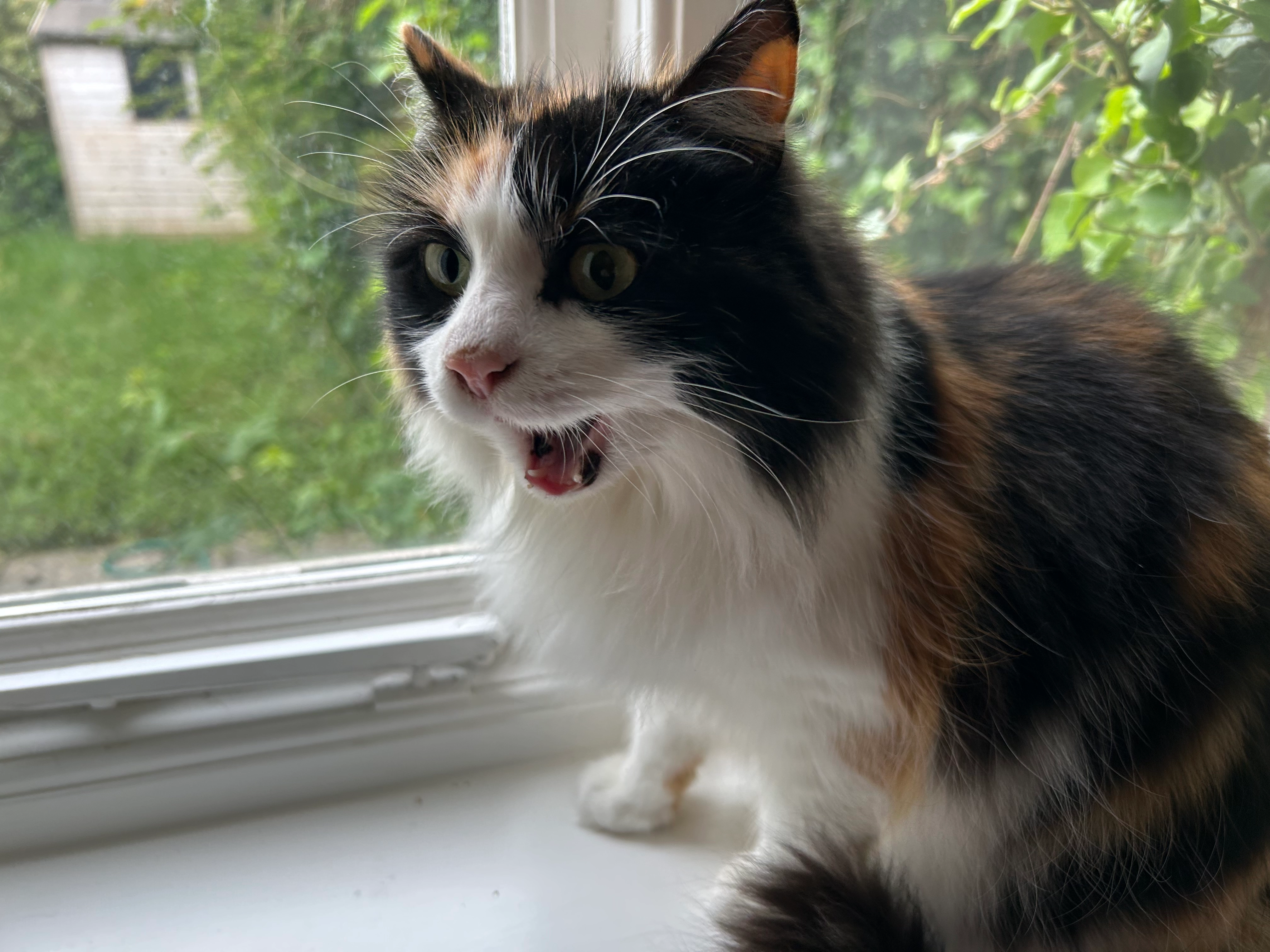 Palpatine - OX11 7, Didcot