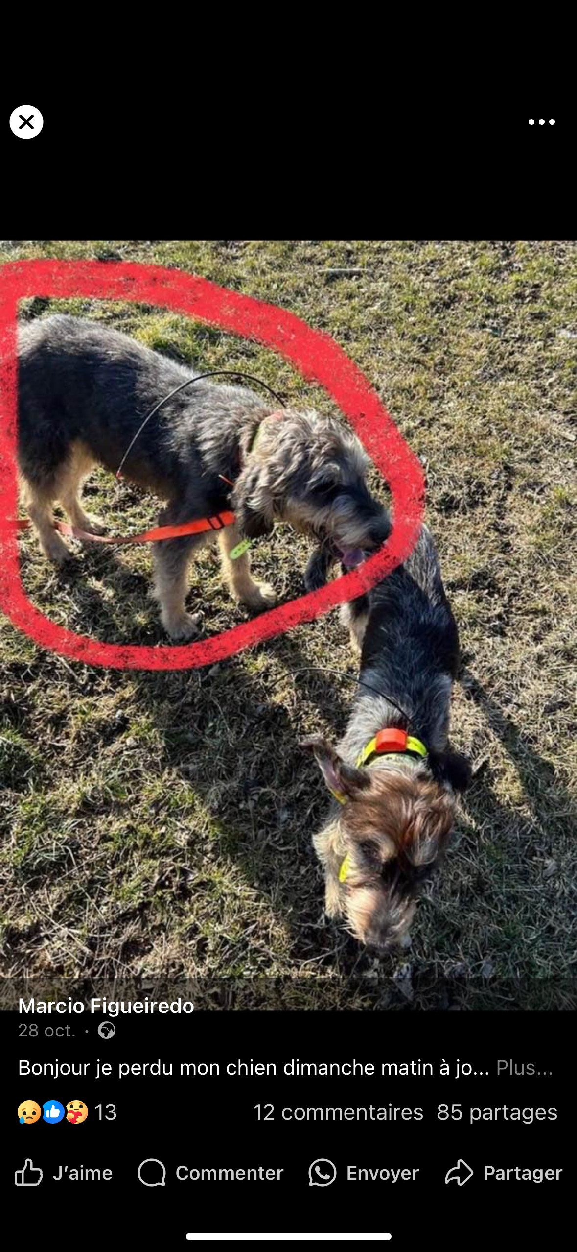 choupi - 5 Rue du Clos Mouton, Jougne