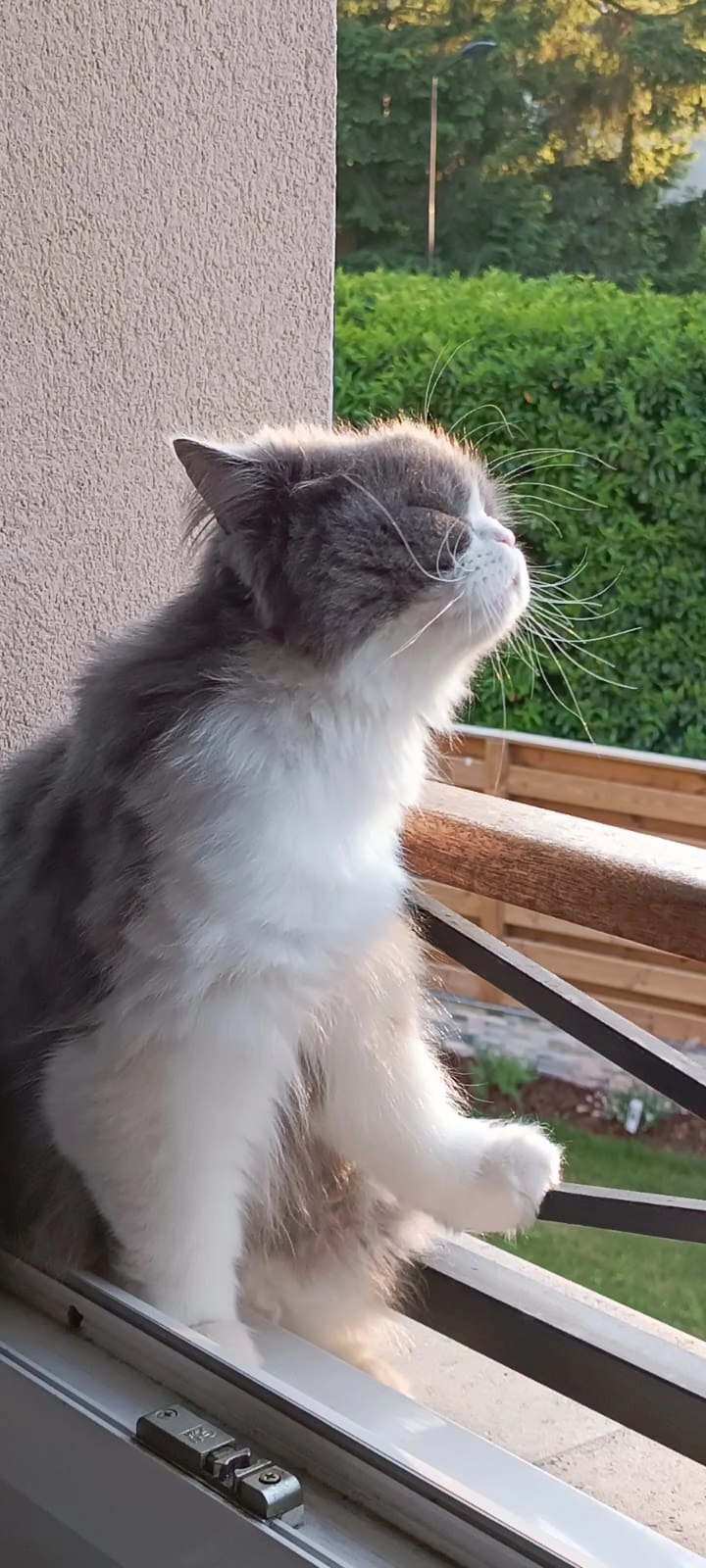 UNO - Impasse De La Roncière, Gif-sur-Yvette