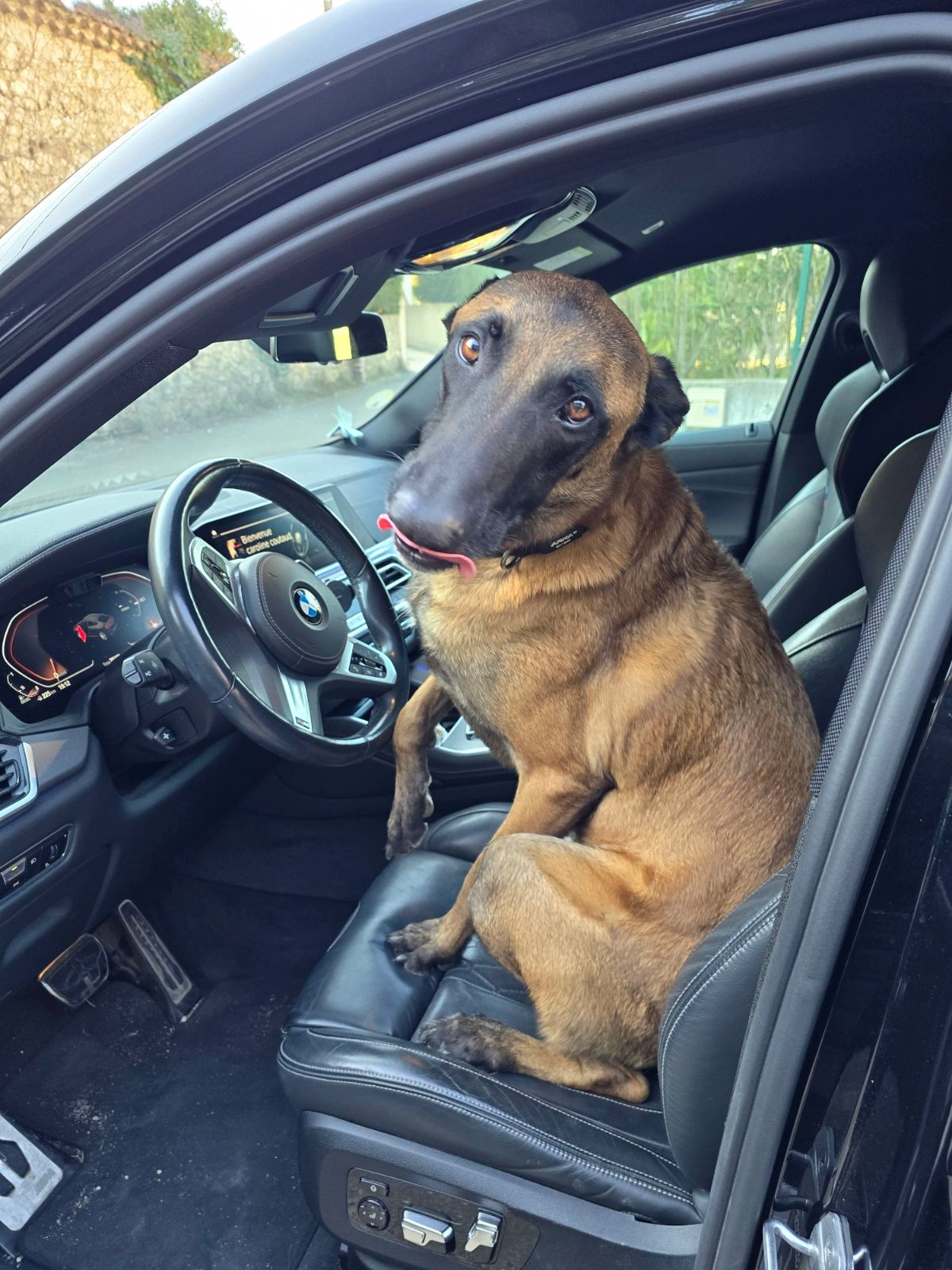 Yago - 24 Chemin de la Veyre, Tresques