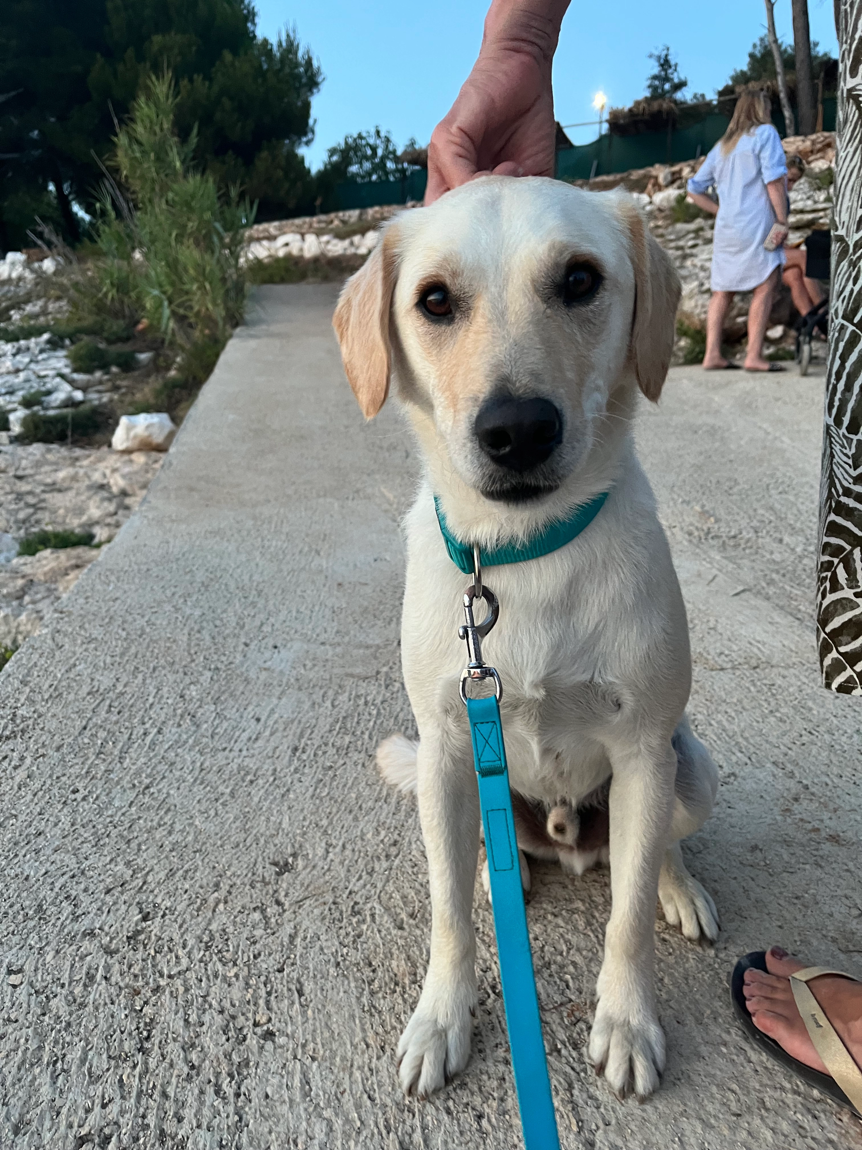 Ton und Coco - Am Steinkamp, Tecklenburg