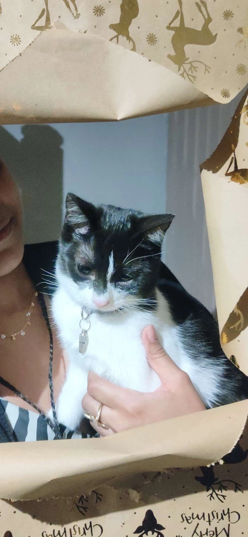 Wevy - Avenue Hector Berlioz, Bruyères-sur-Oise