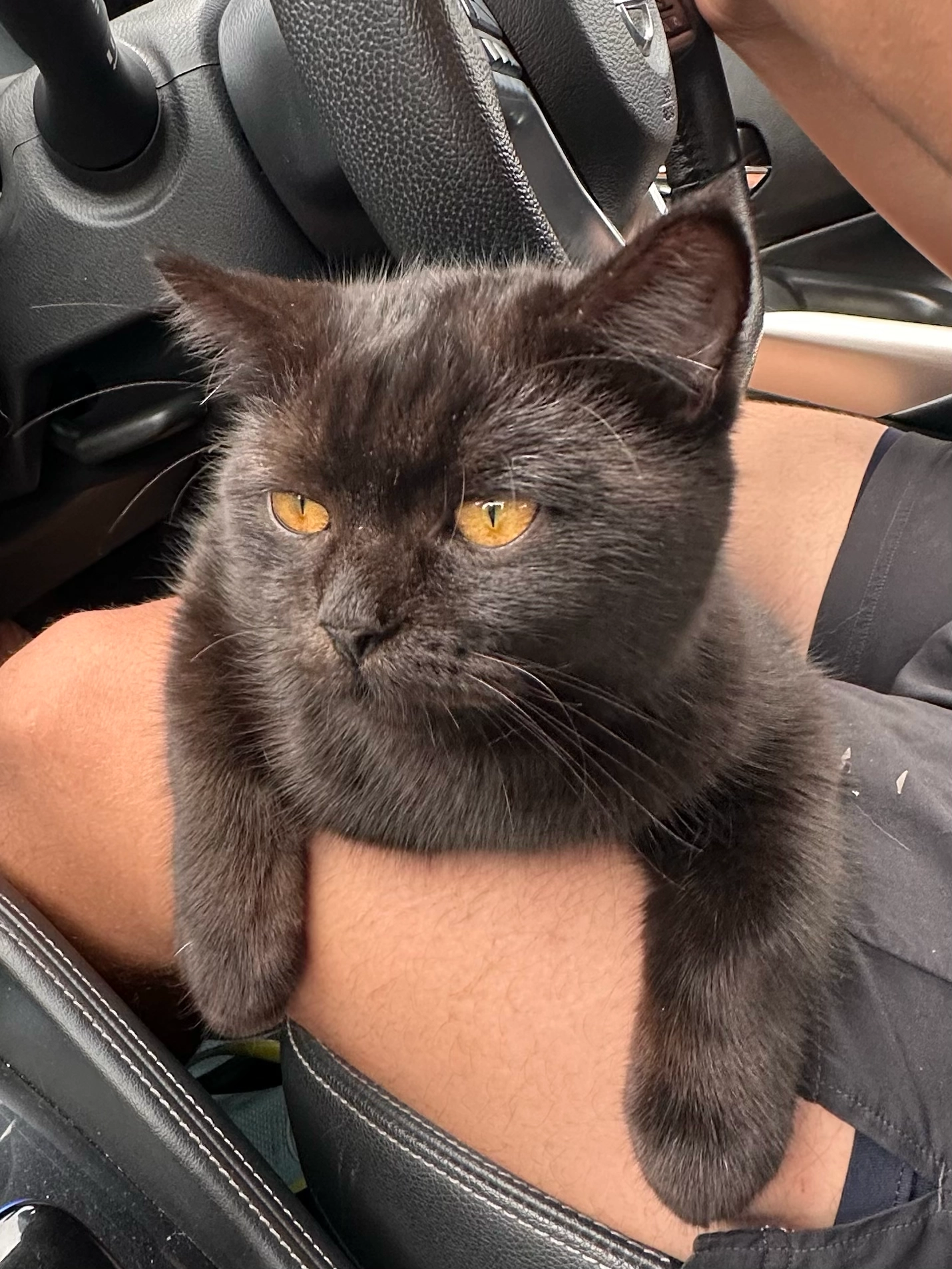 jiji - Toongklom Talman 20, Pattaya