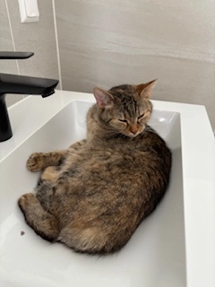 Rosi - Toni-Schruf-Weg, Graz