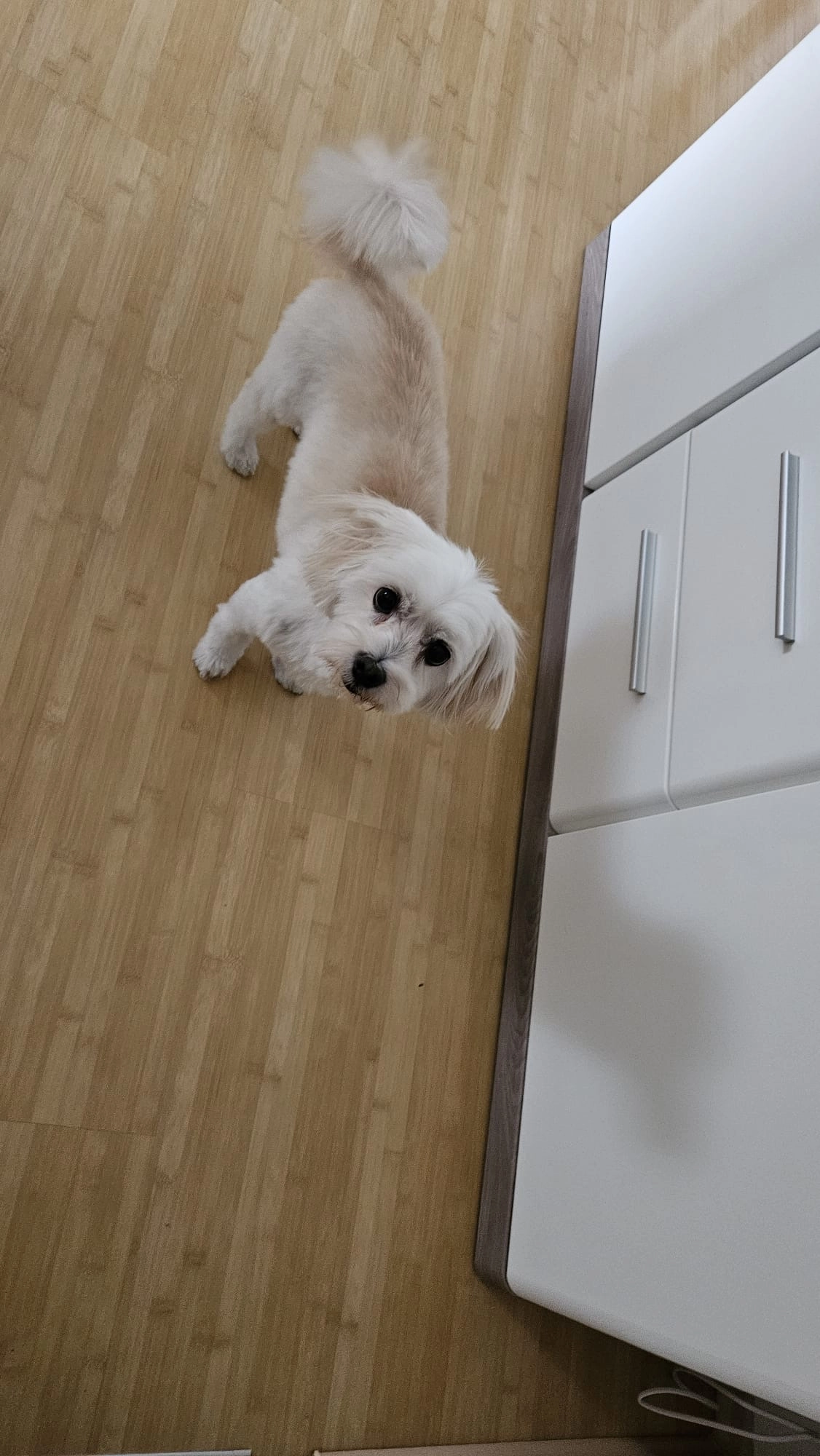 Paula - Mannagettagasse, Wien