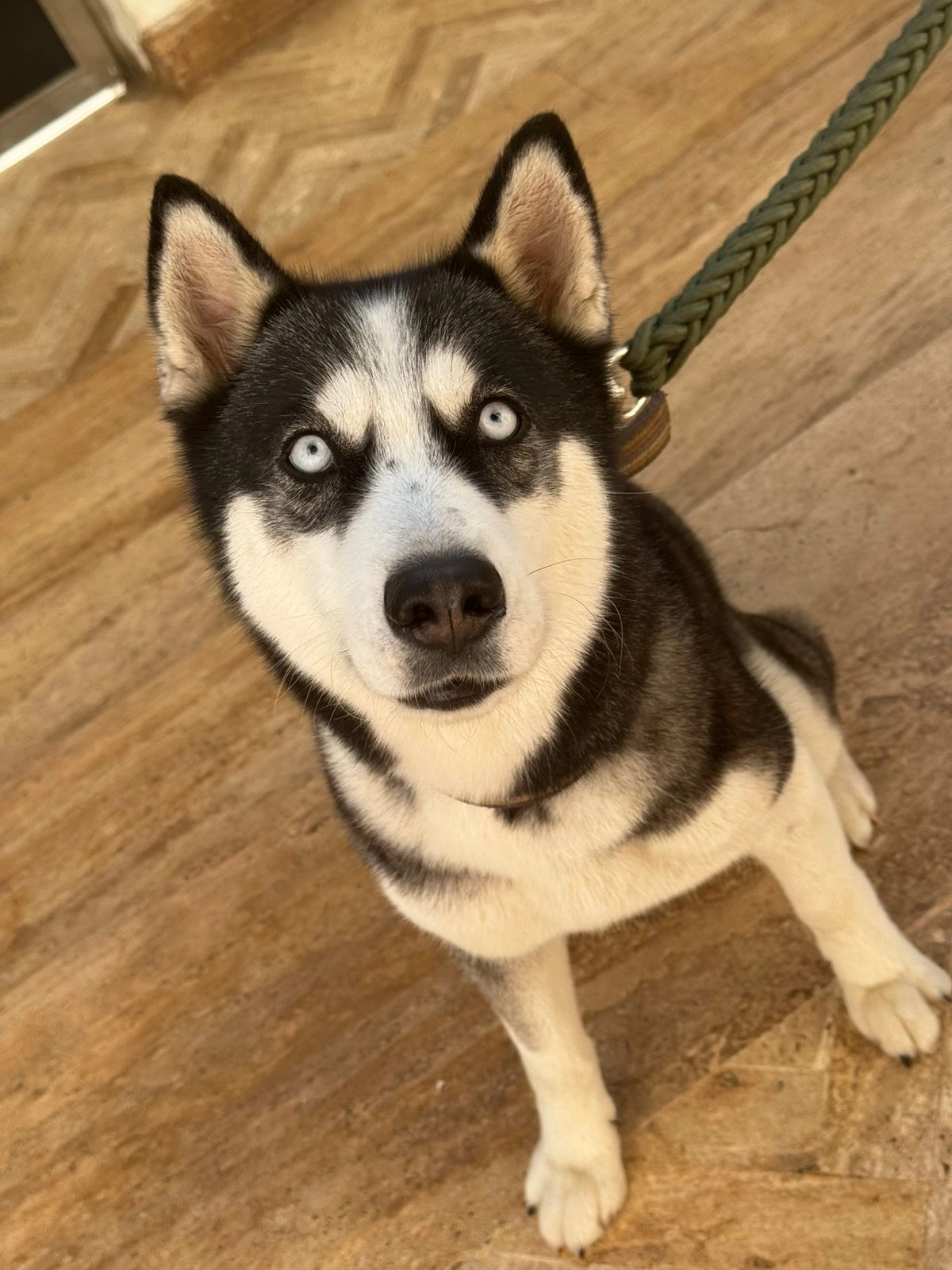 Mia  - 20, Casablanca