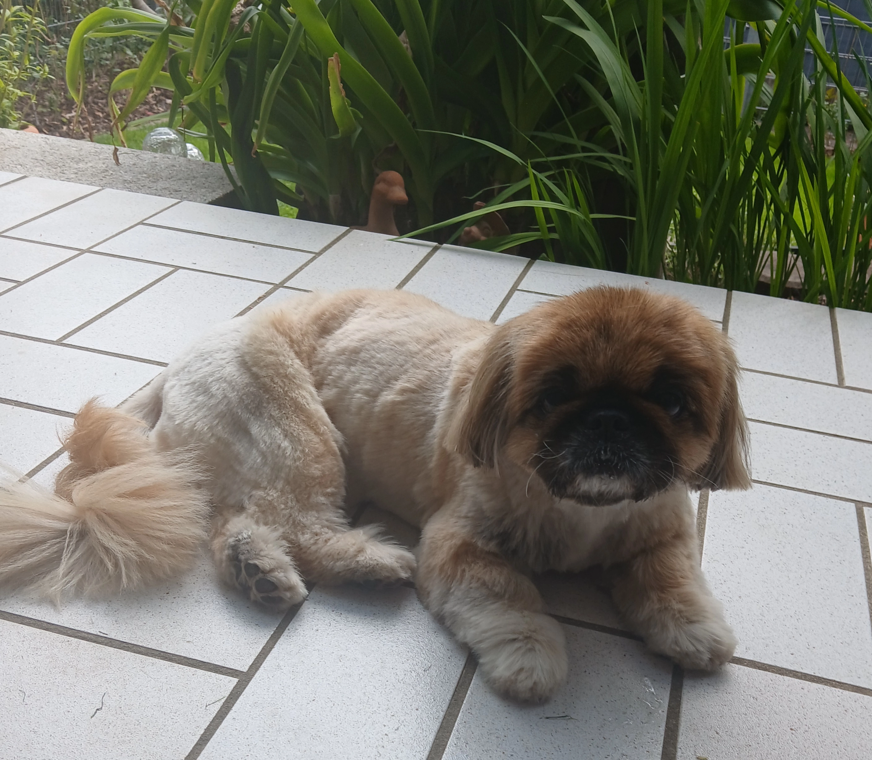 Peggi - Parking Du Rouergue, Agde