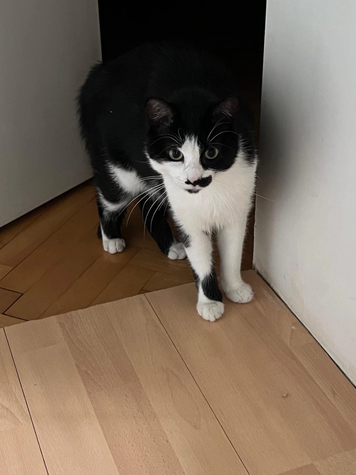 Shurik - Kornbergstraße, Eislingen/Fils