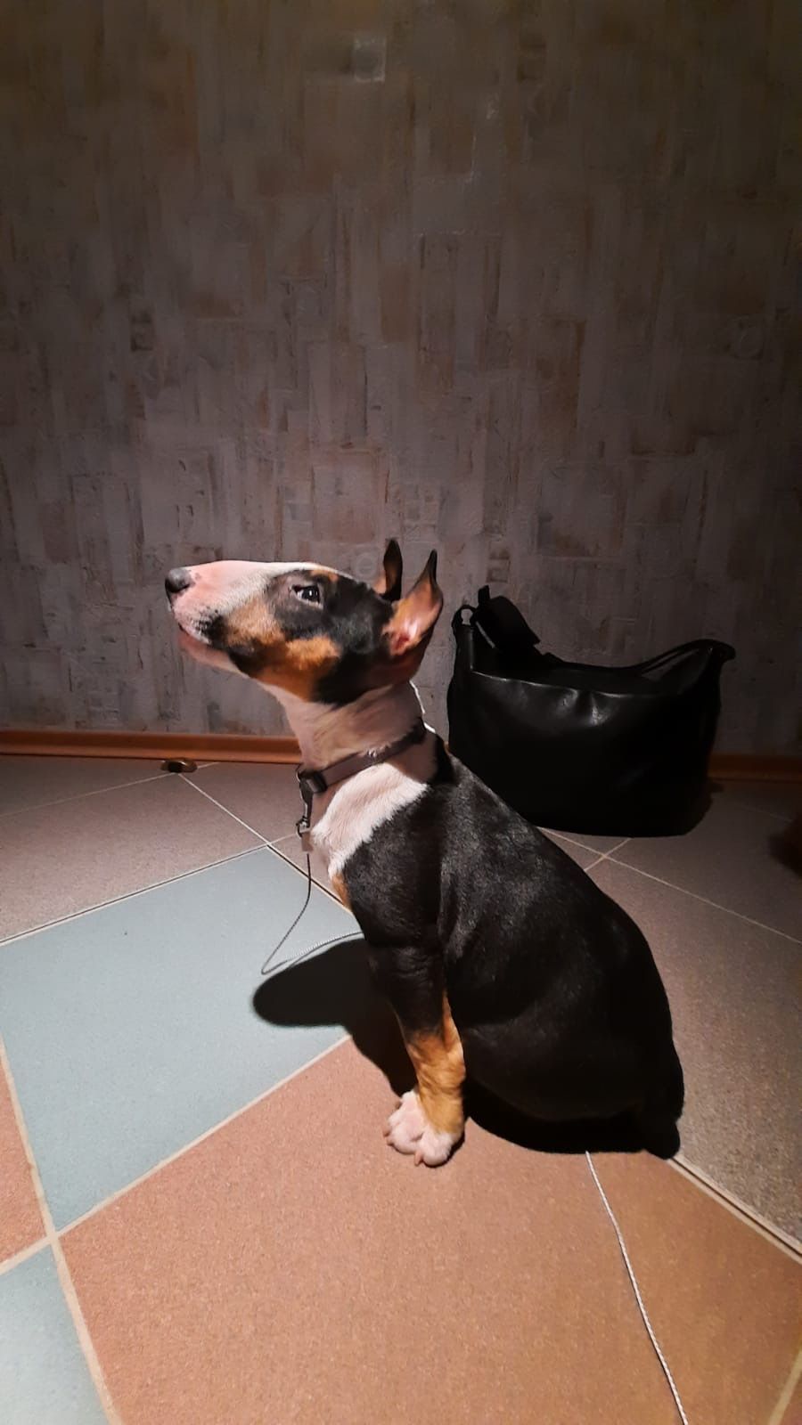 Mosja - Am Wingert, Reiskirchen