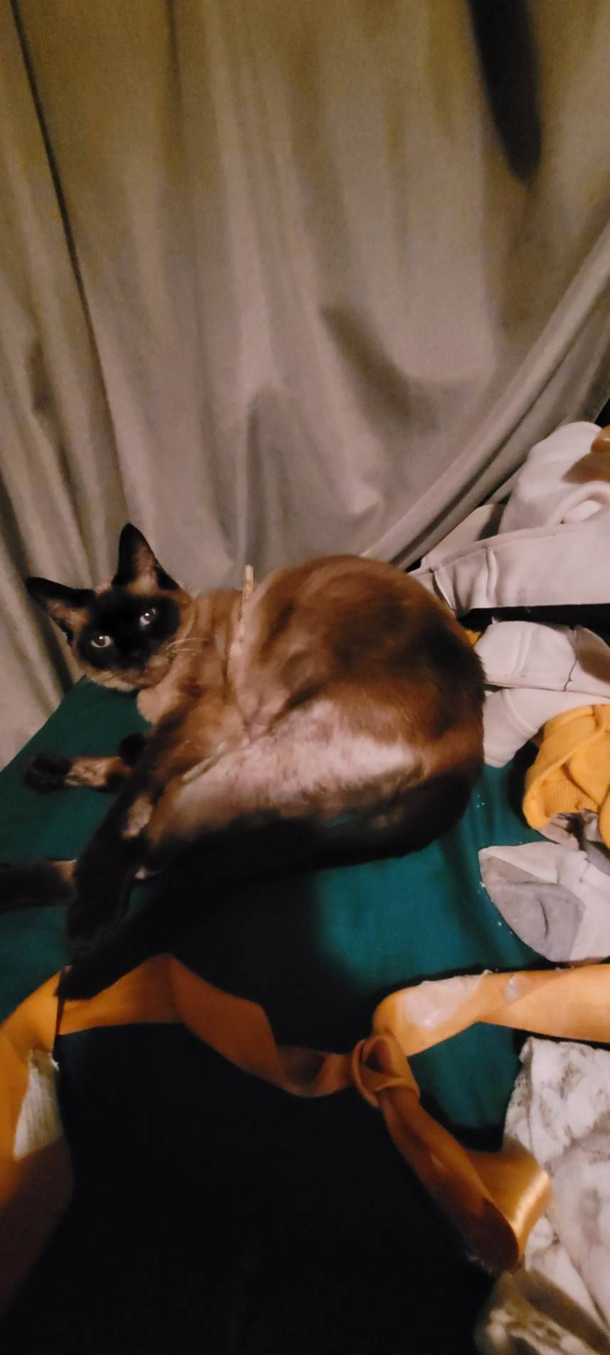 Mitaine  - Route Du Vert, Labastide-du-Vert