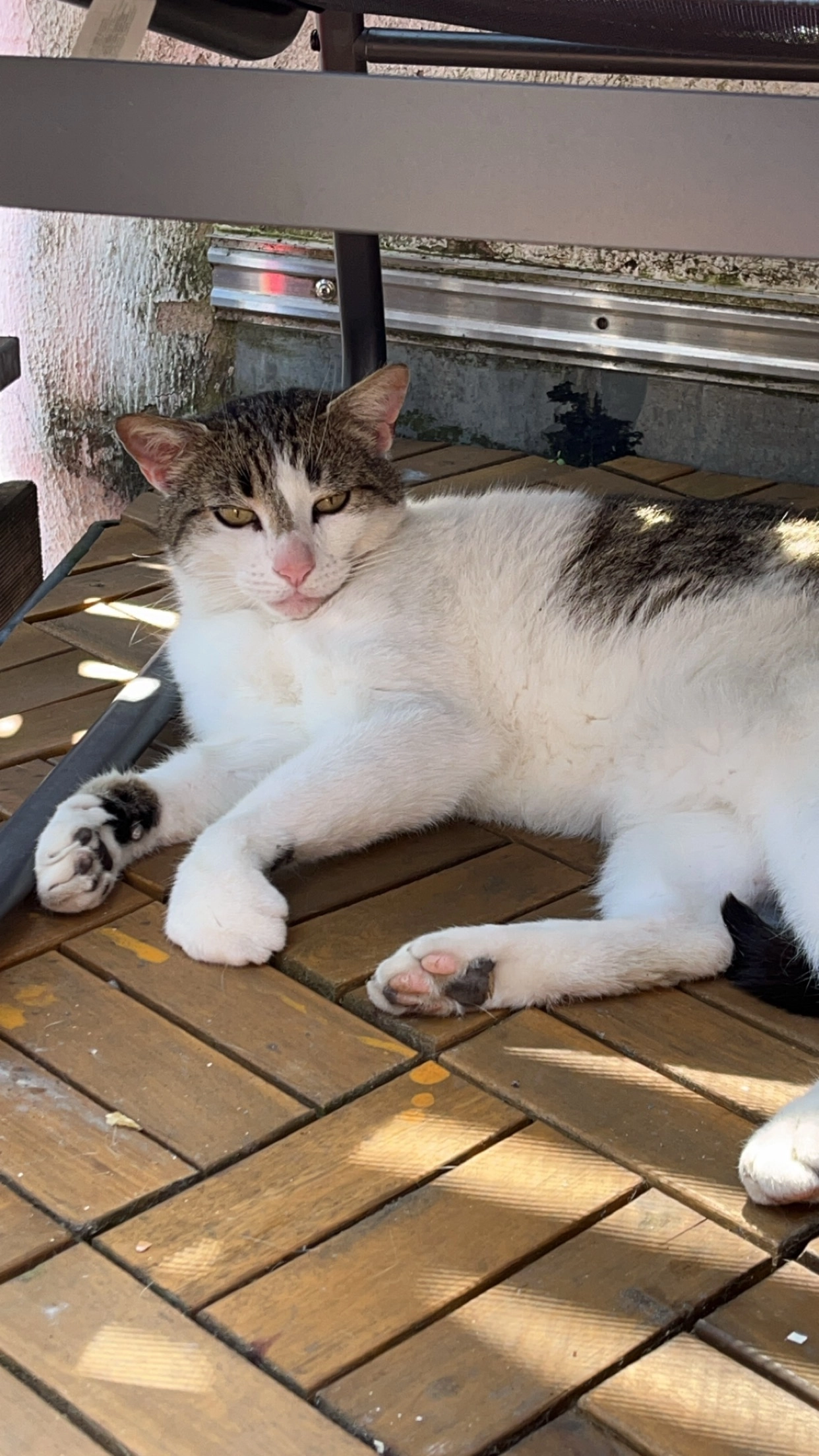 Loki - Hohe Straße 8, Herborn