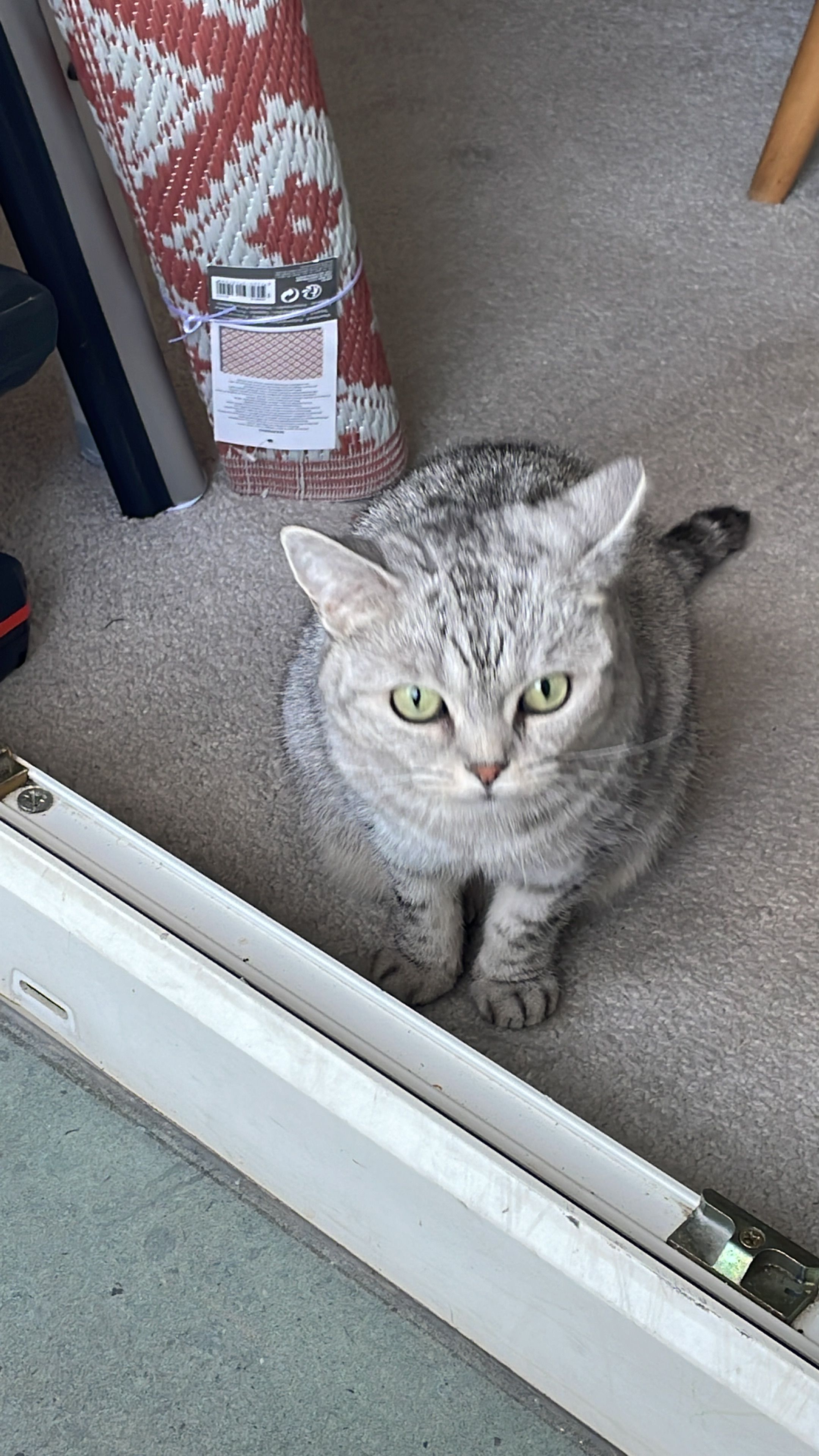 Bella - In Den Heinungen, Genthin