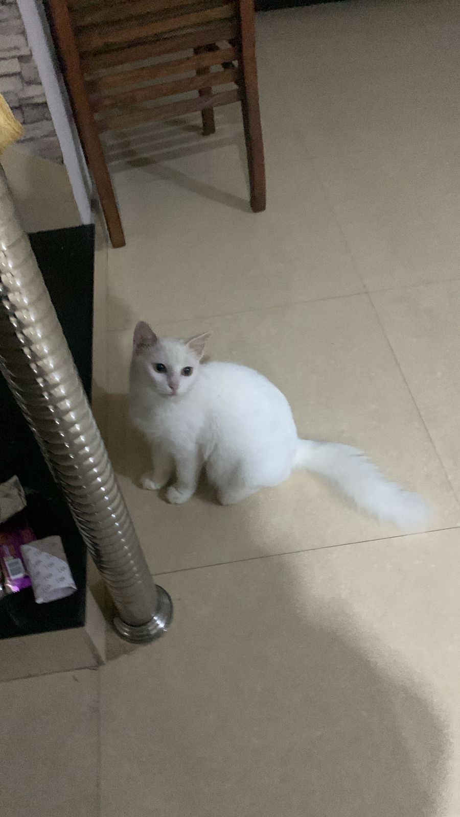 Snow  - Puthuppally Road, Kottayam