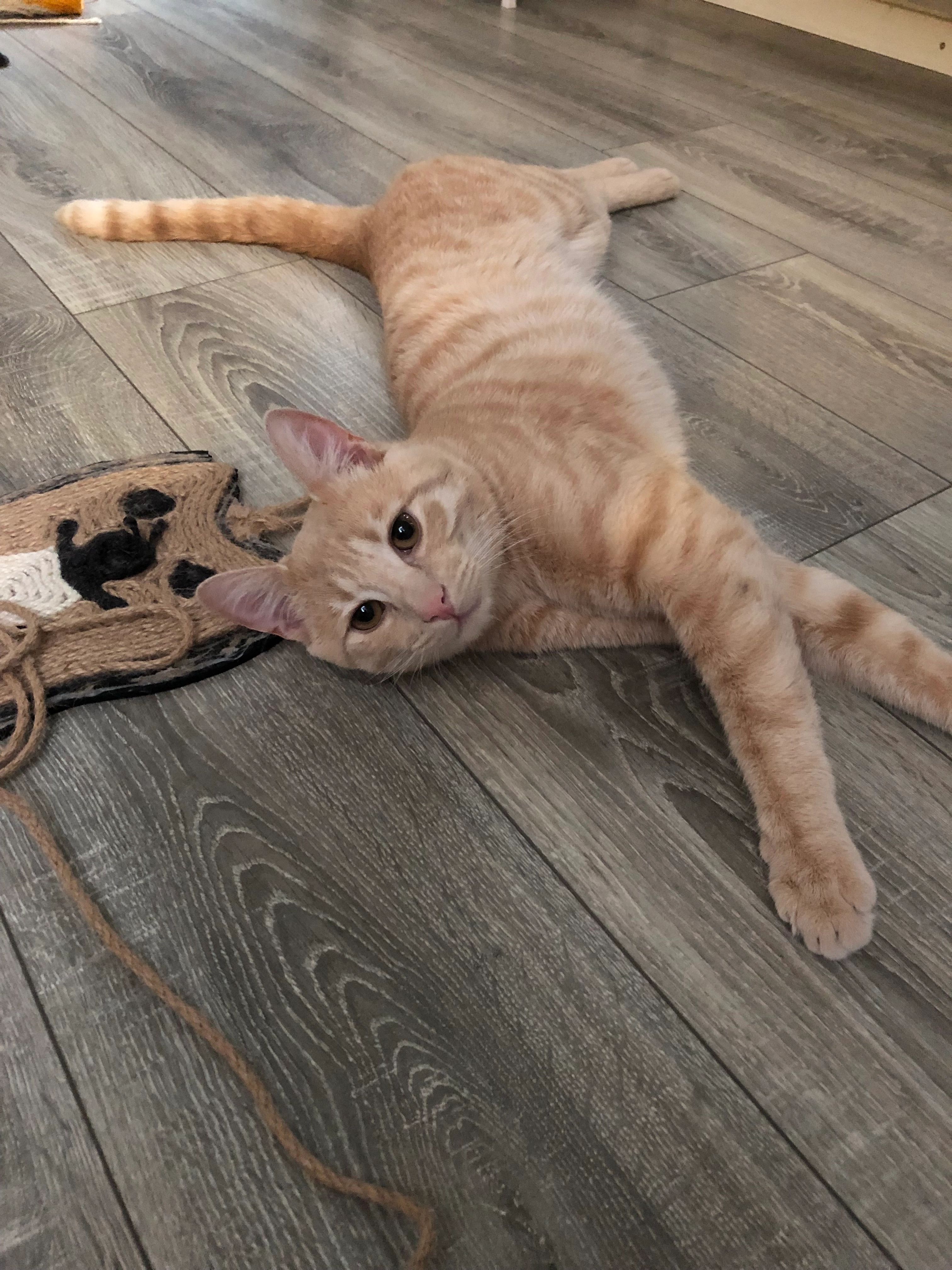 Coco - Doris-Heye-Straße, Elsfleth