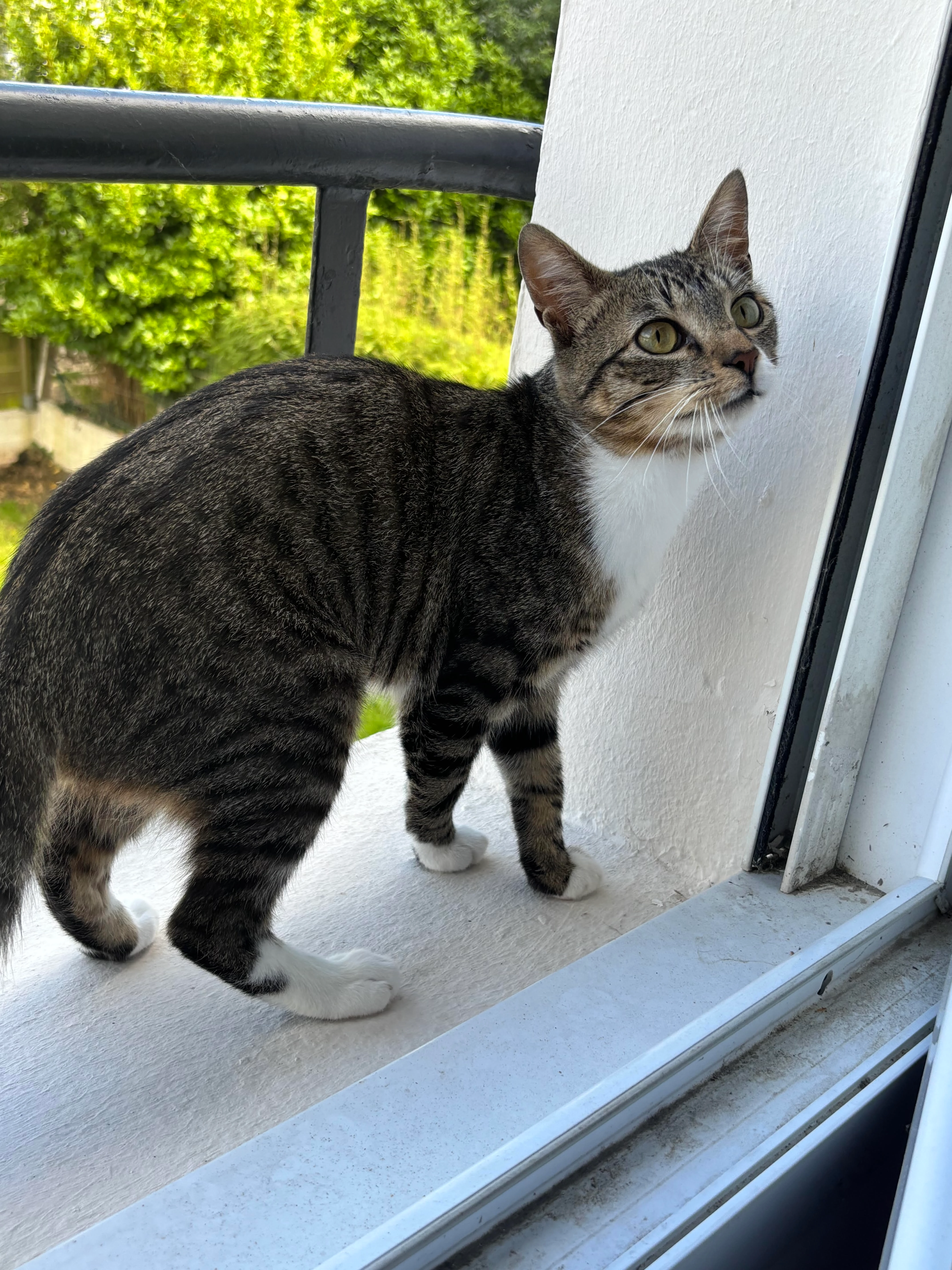 Léon - Rue de La Villemarqué, Lanester